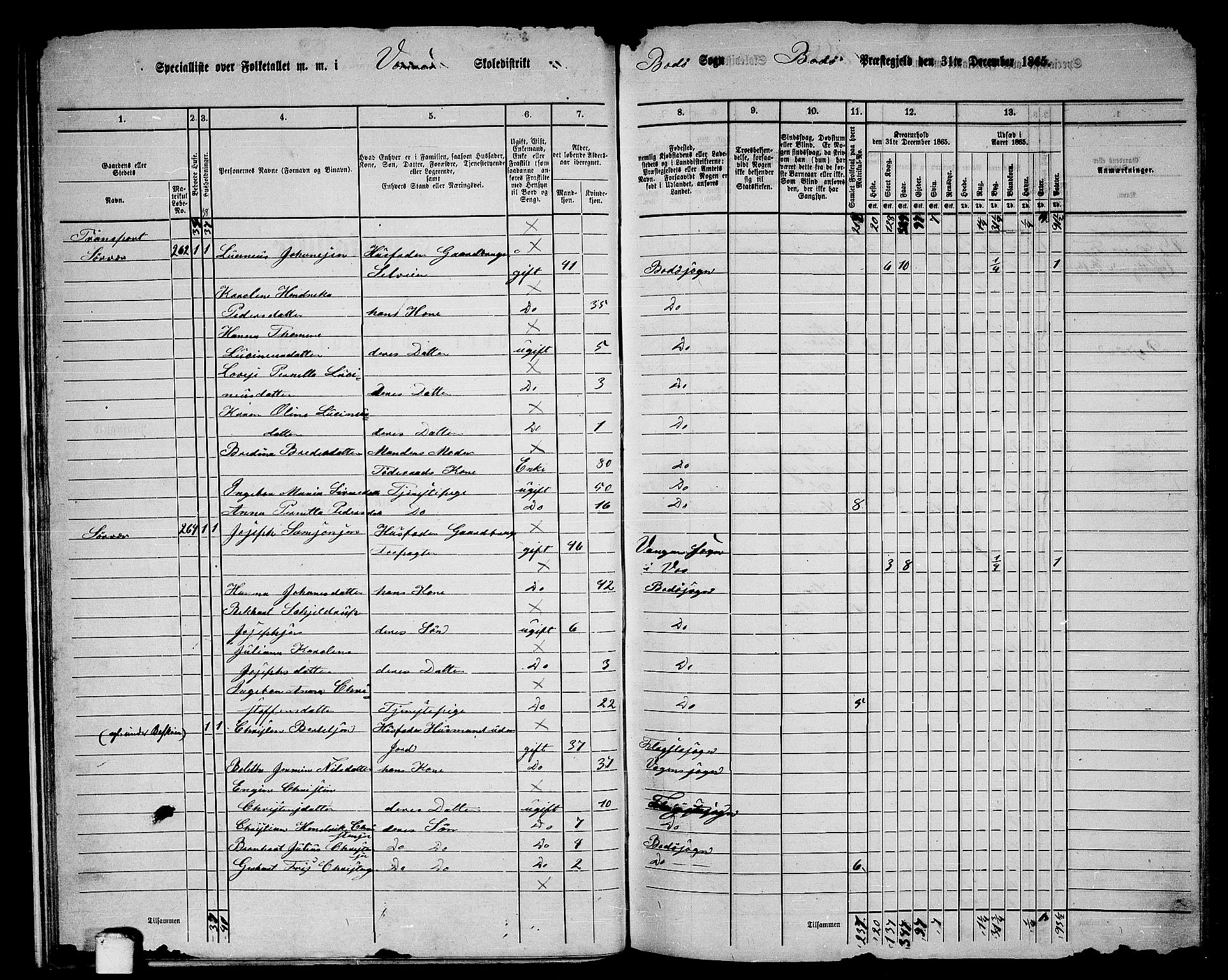 RA, 1865 census for Bodø/Bodø, 1865, p. 25
