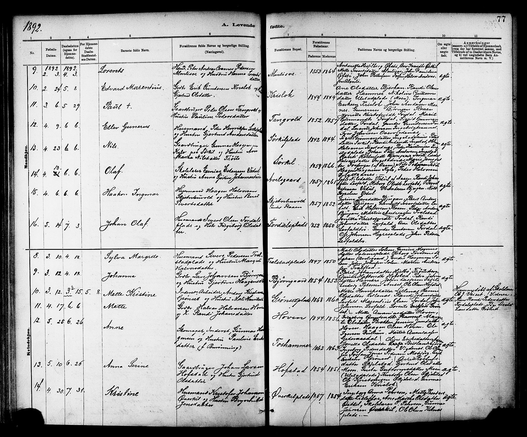 Ministerialprotokoller, klokkerbøker og fødselsregistre - Nord-Trøndelag, SAT/A-1458/703/L0030: Parish register (official) no. 703A03, 1880-1892, p. 77