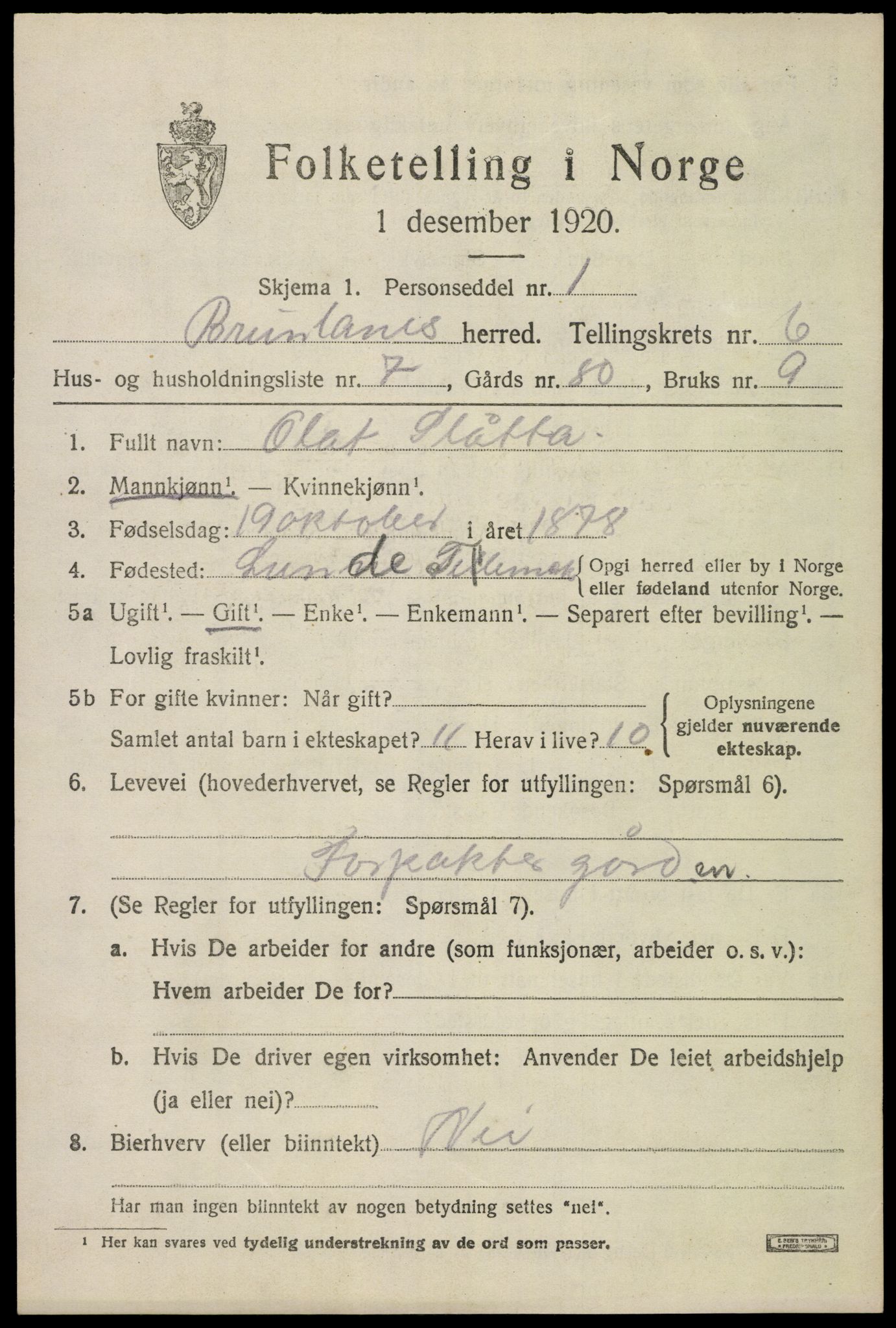 SAKO, 1920 census for Brunlanes, 1920, p. 6835