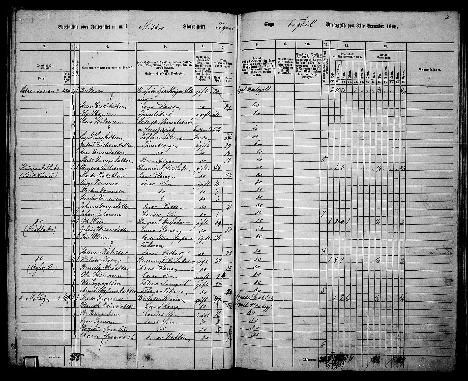 RA, 1865 census for Trysil, 1865, p. 113