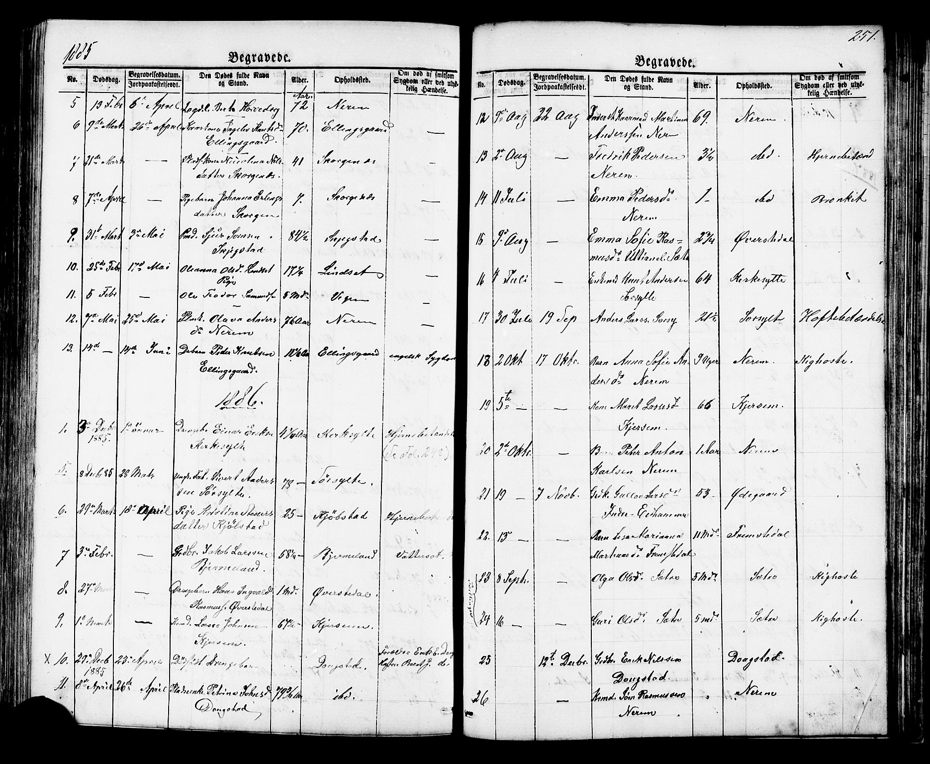 Ministerialprotokoller, klokkerbøker og fødselsregistre - Møre og Romsdal, SAT/A-1454/541/L0547: Parish register (copy) no. 541C02, 1867-1921, p. 251