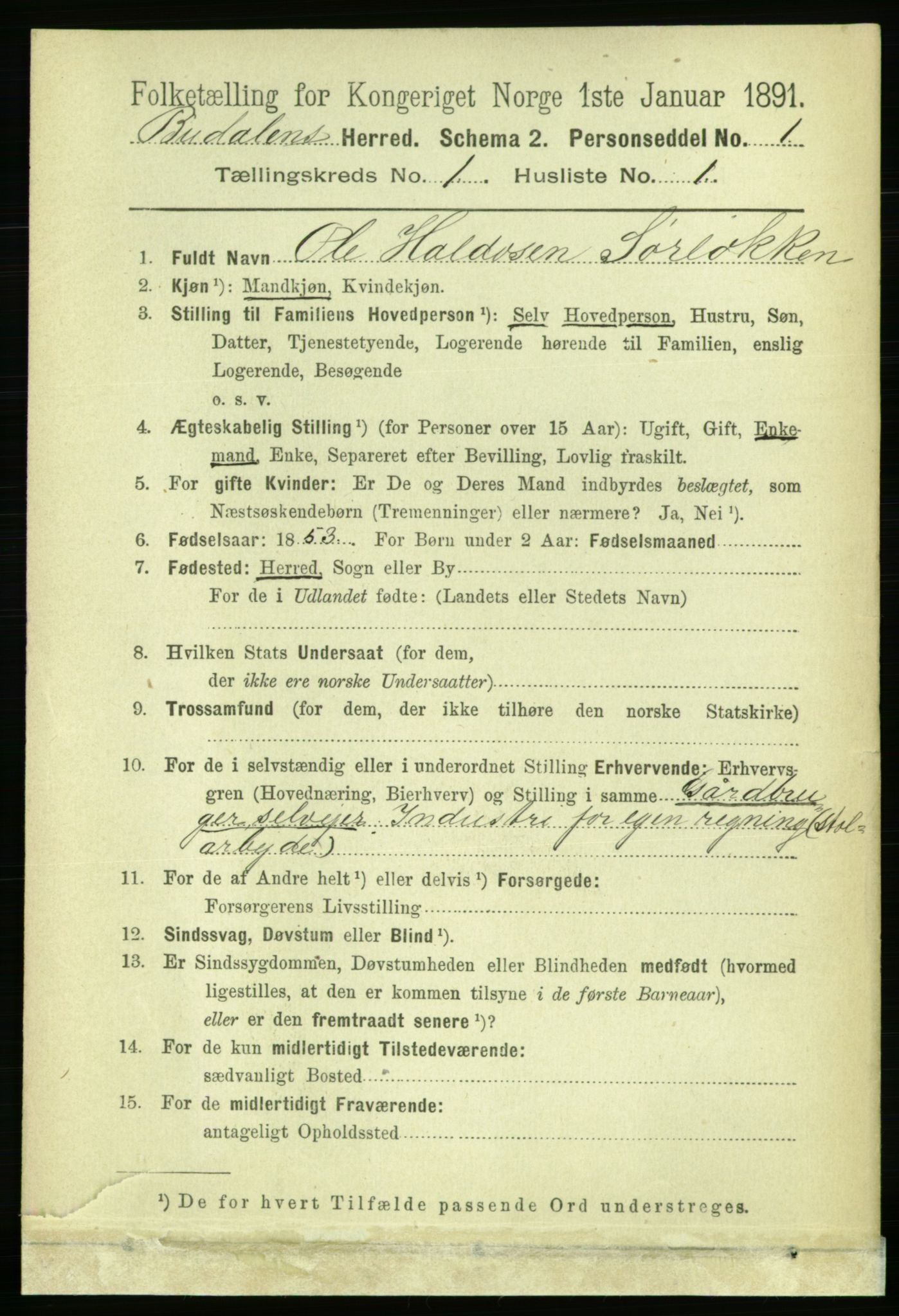 RA, 1891 census for 1647 Budal, 1891, p. 61