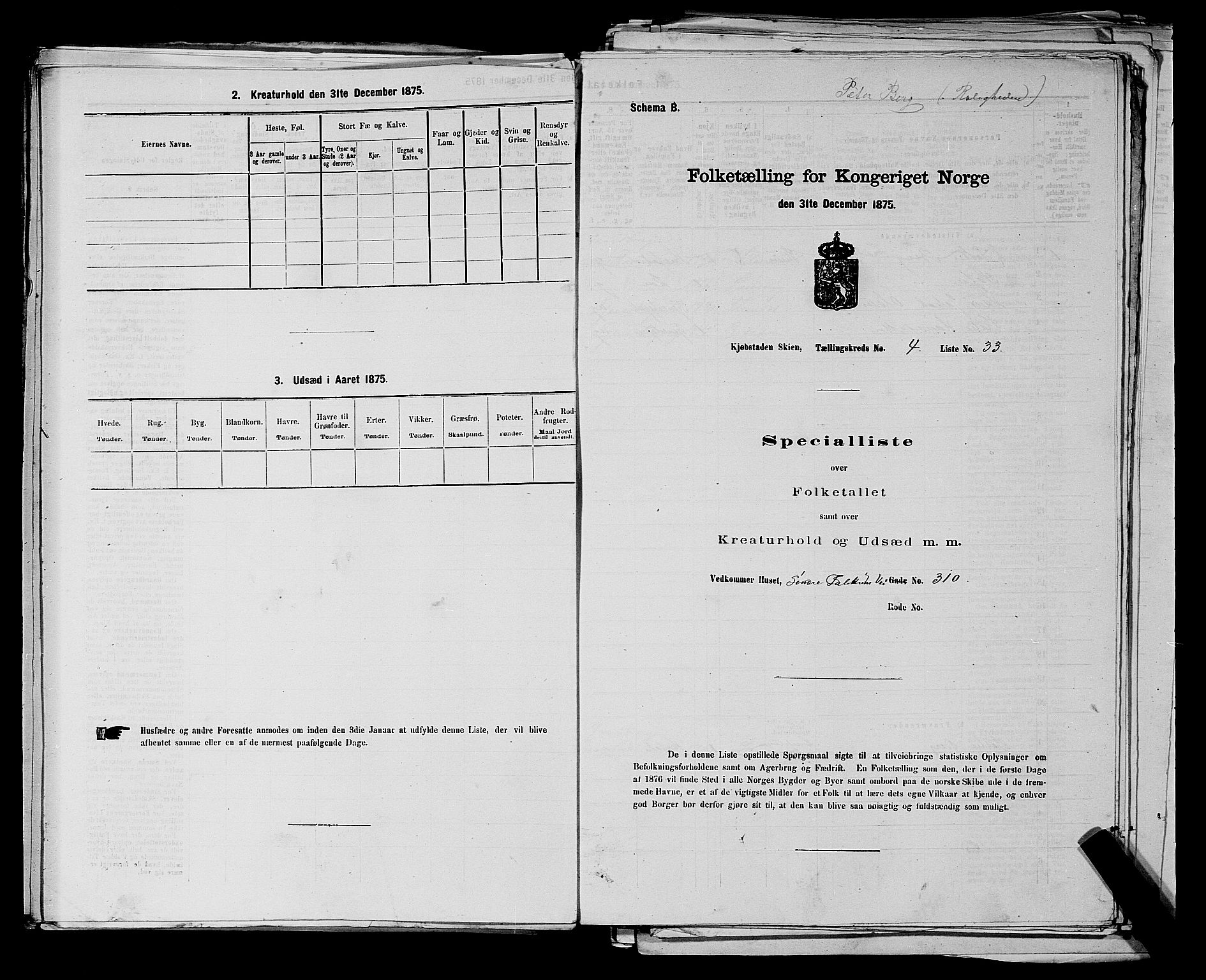 SAKO, 1875 census for 0806P Skien, 1875, p. 750