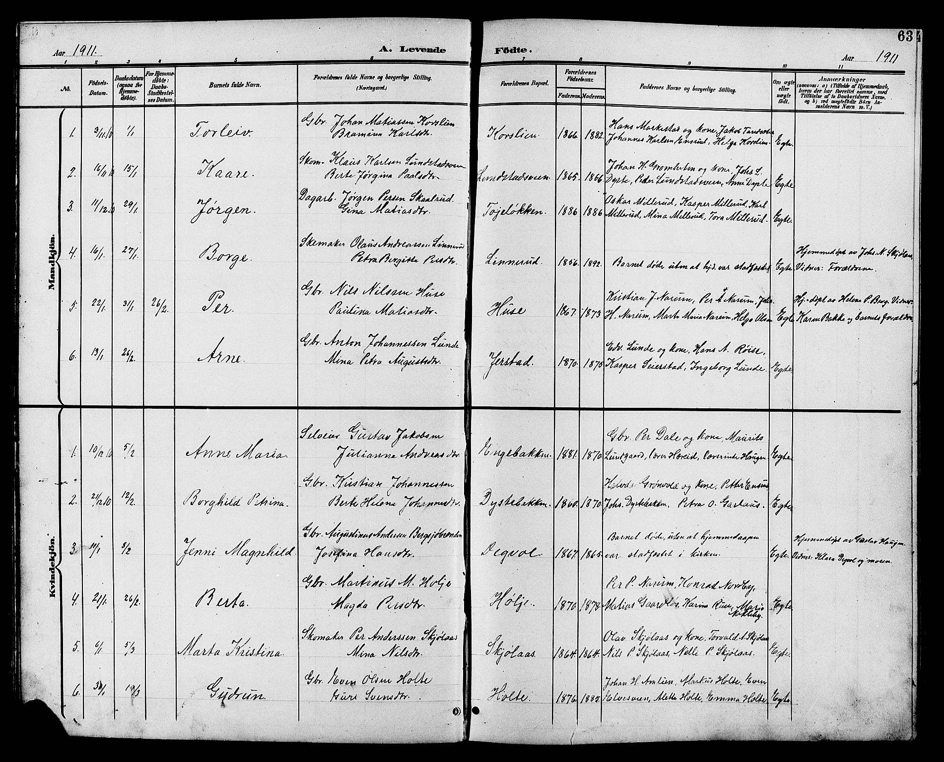 Vestre Toten prestekontor, SAH/PREST-108/H/Ha/Hab/L0011: Parish register (copy) no. 11, 1901-1911, p. 63