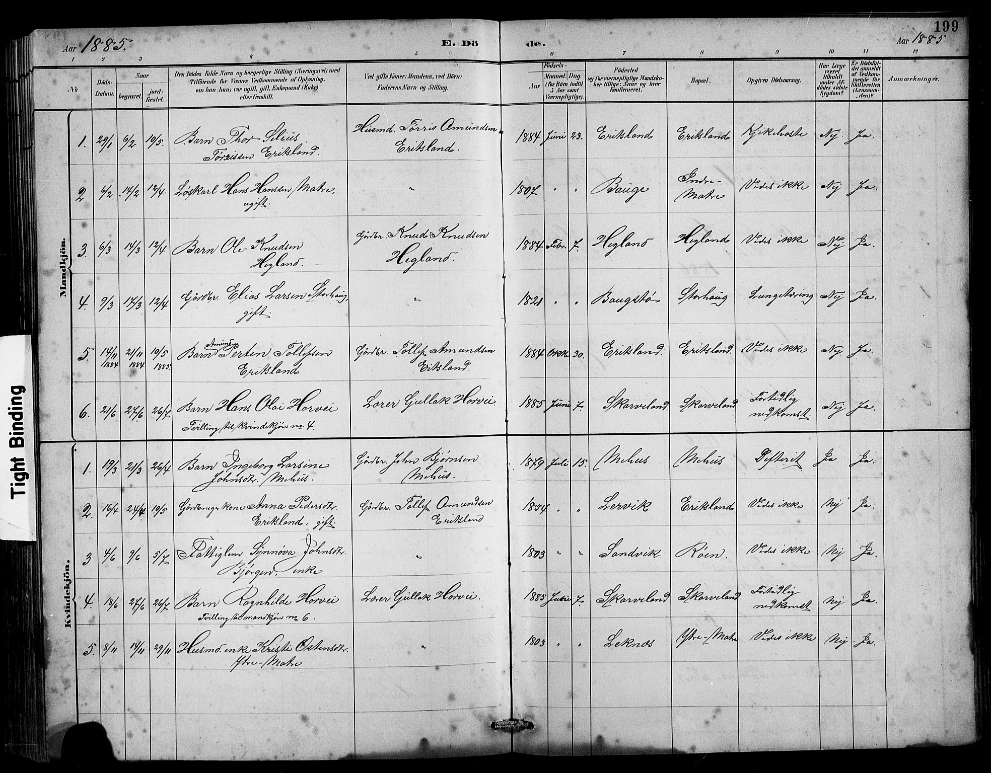 Husnes Sokneprestembete, SAB/A-75901/H/Hab: Parish register (copy) no. B 2, 1884-1914, p. 199