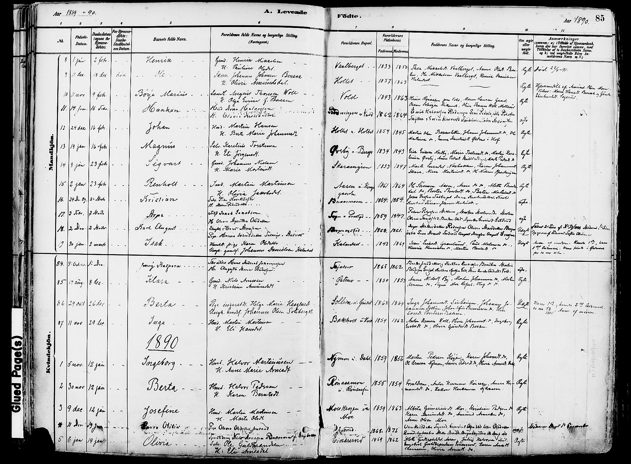 Grue prestekontor, SAH/PREST-036/H/Ha/Haa/L0012: Parish register (official) no. 12, 1881-1897, p. 85