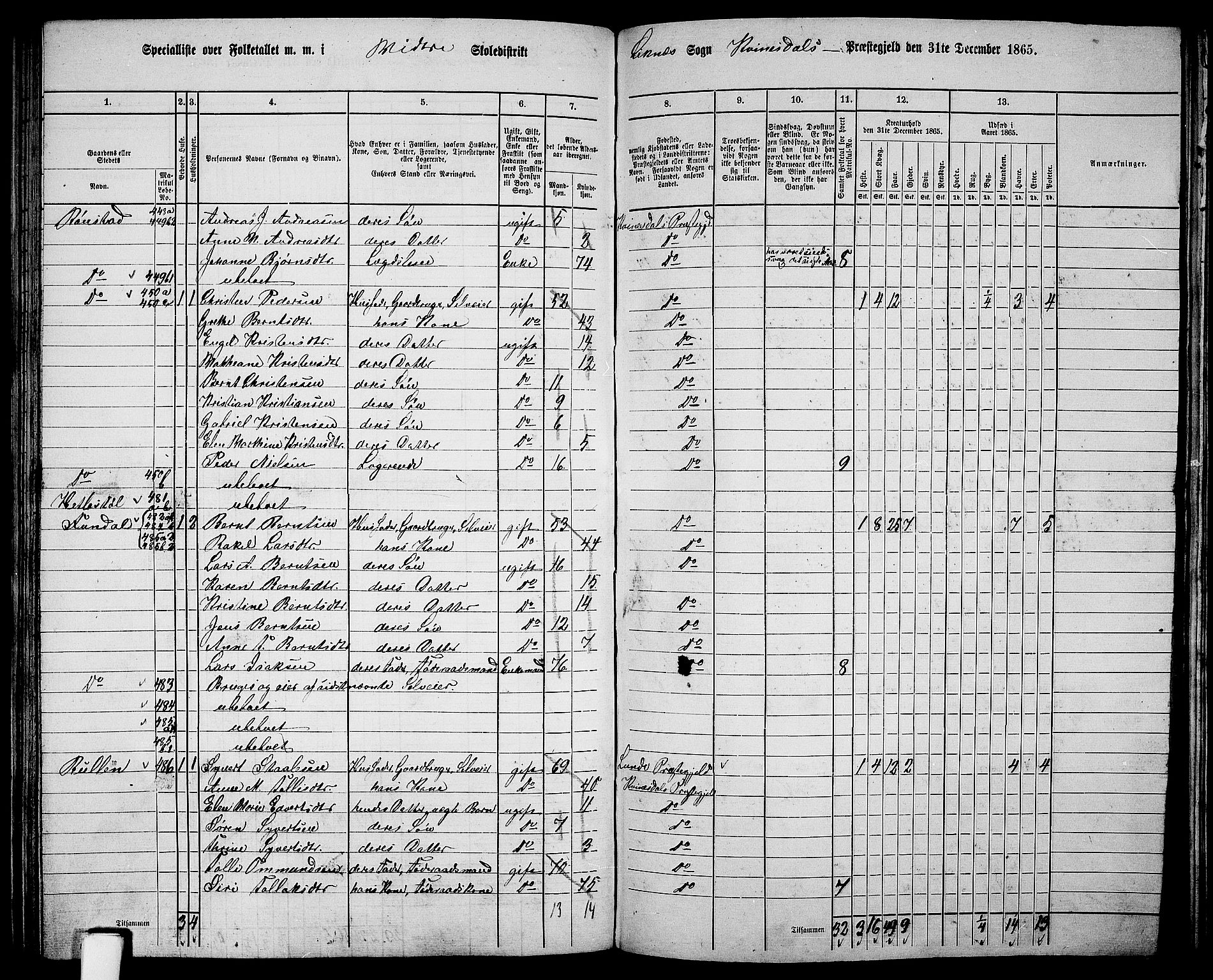 RA, 1865 census for Kvinesdal, 1865, p. 126