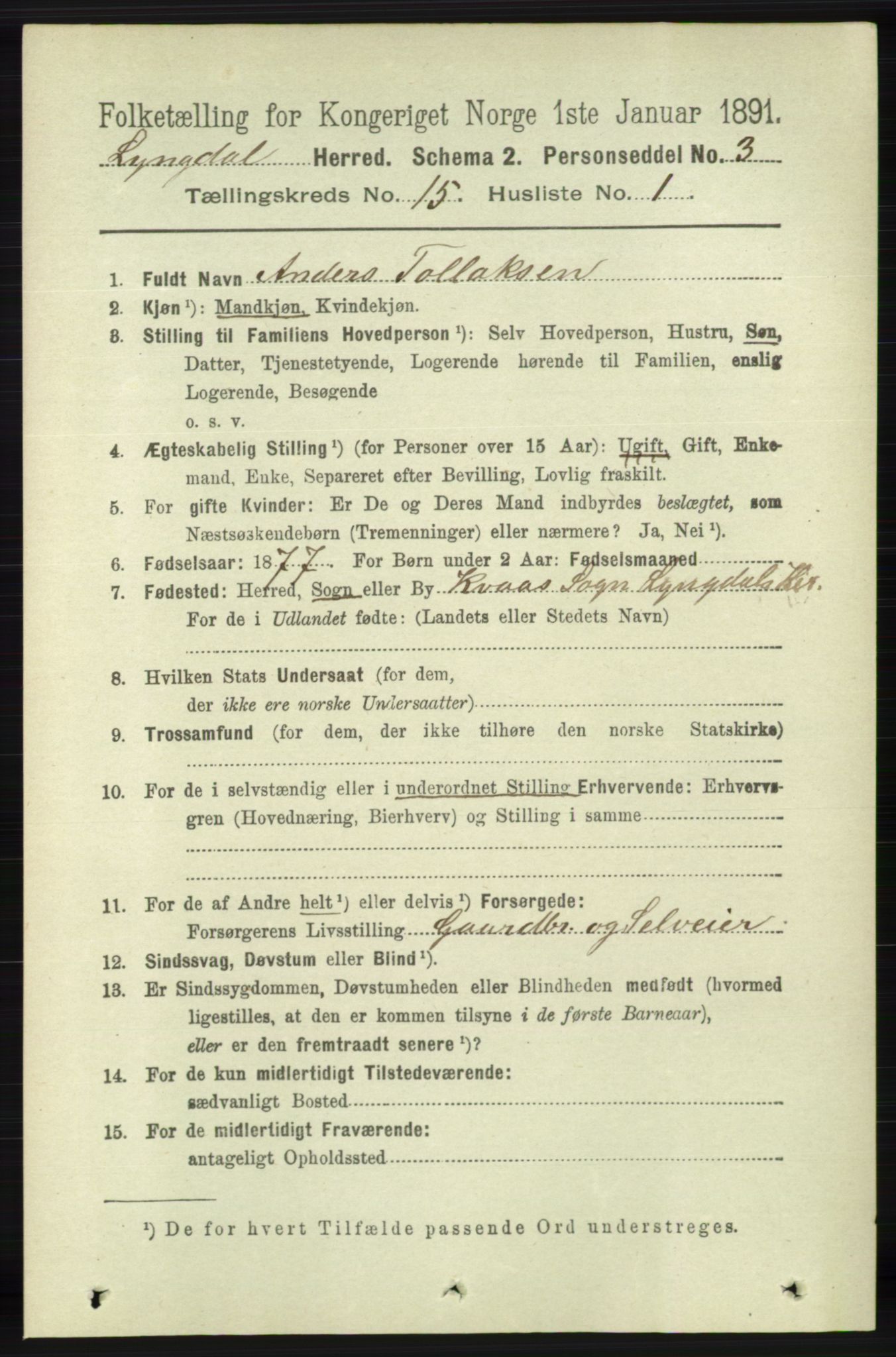 RA, 1891 census for 1032 Lyngdal, 1891, p. 6062