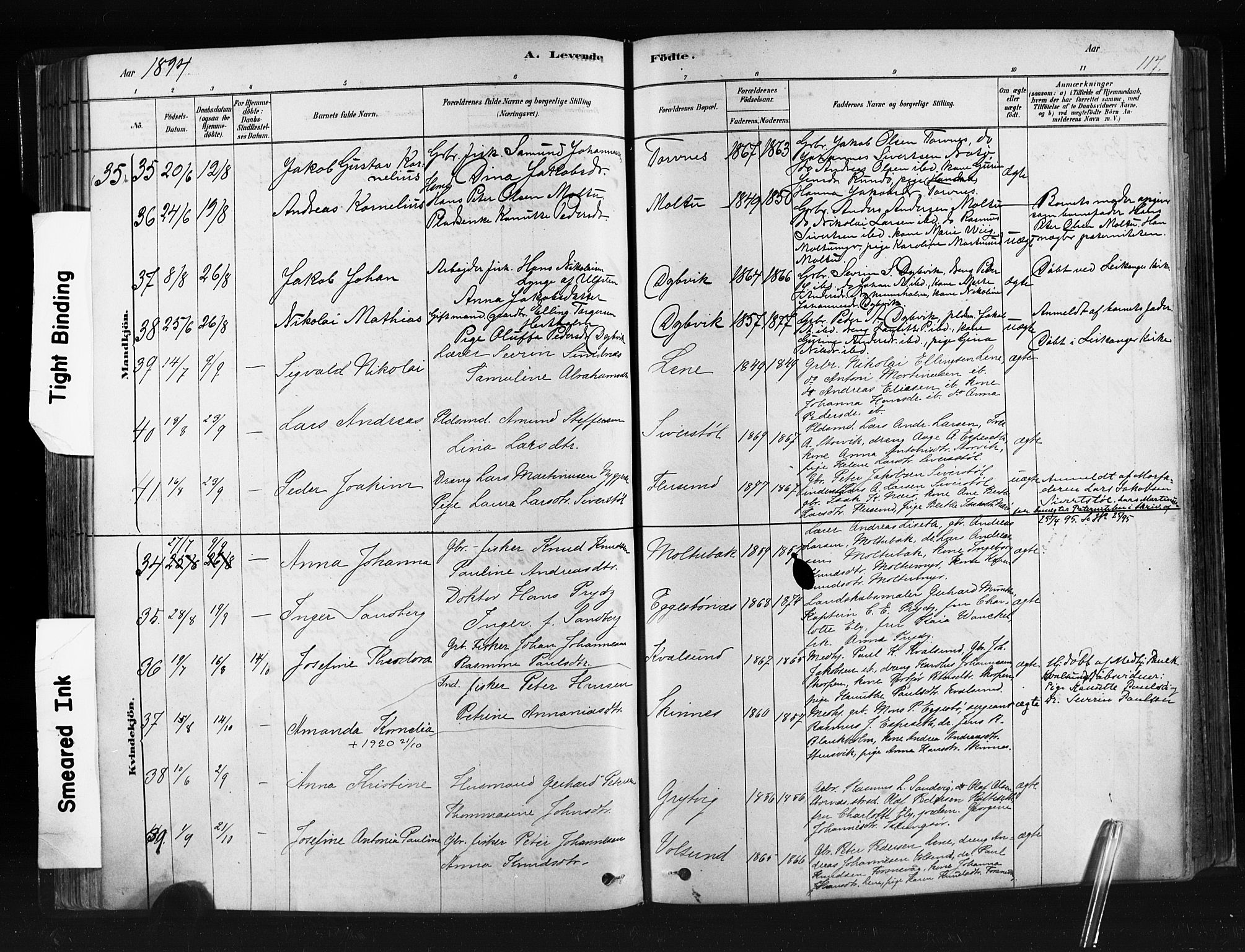 Ministerialprotokoller, klokkerbøker og fødselsregistre - Møre og Romsdal, AV/SAT-A-1454/507/L0073: Parish register (official) no. 507A08, 1878-1904, p. 117