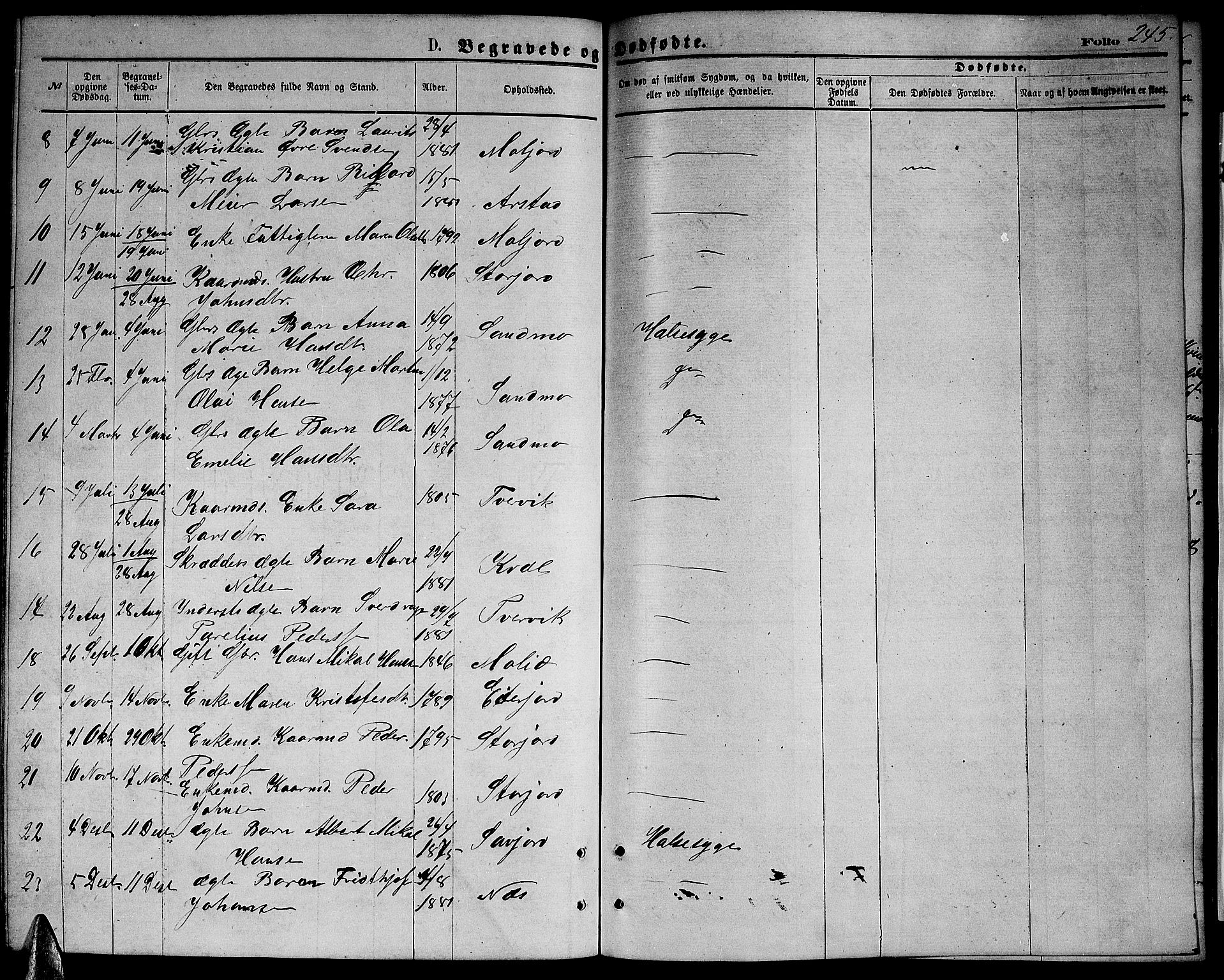 Ministerialprotokoller, klokkerbøker og fødselsregistre - Nordland, SAT/A-1459/846/L0653: Parish register (copy) no. 846C03, 1872-1887, p. 245