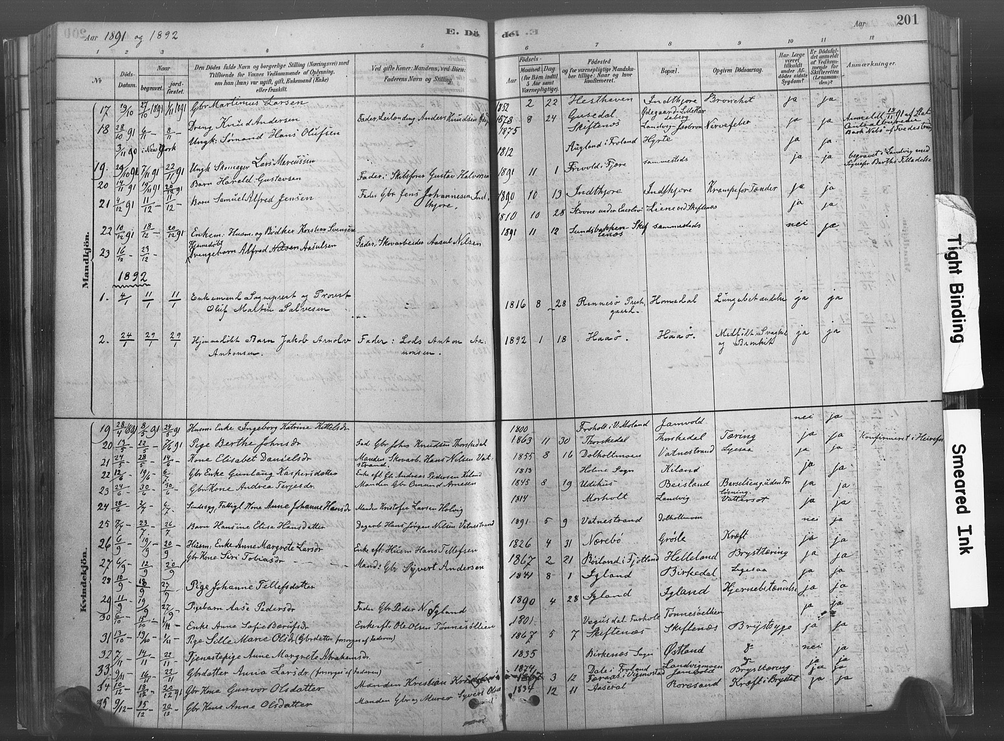 Hommedal sokneprestkontor, AV/SAK-1111-0023/F/Fa/Fab/L0006: Parish register (official) no. A 6, 1878-1897, p. 201