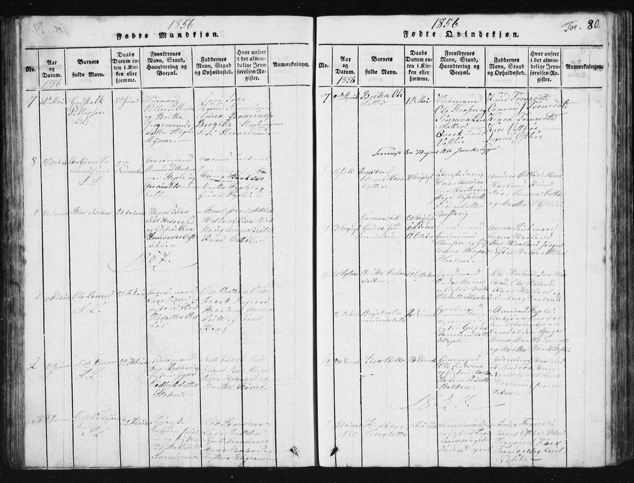 Vikedal sokneprestkontor, SAST/A-101840/01/V: Parish register (copy) no. B 2, 1816-1863, p. 80