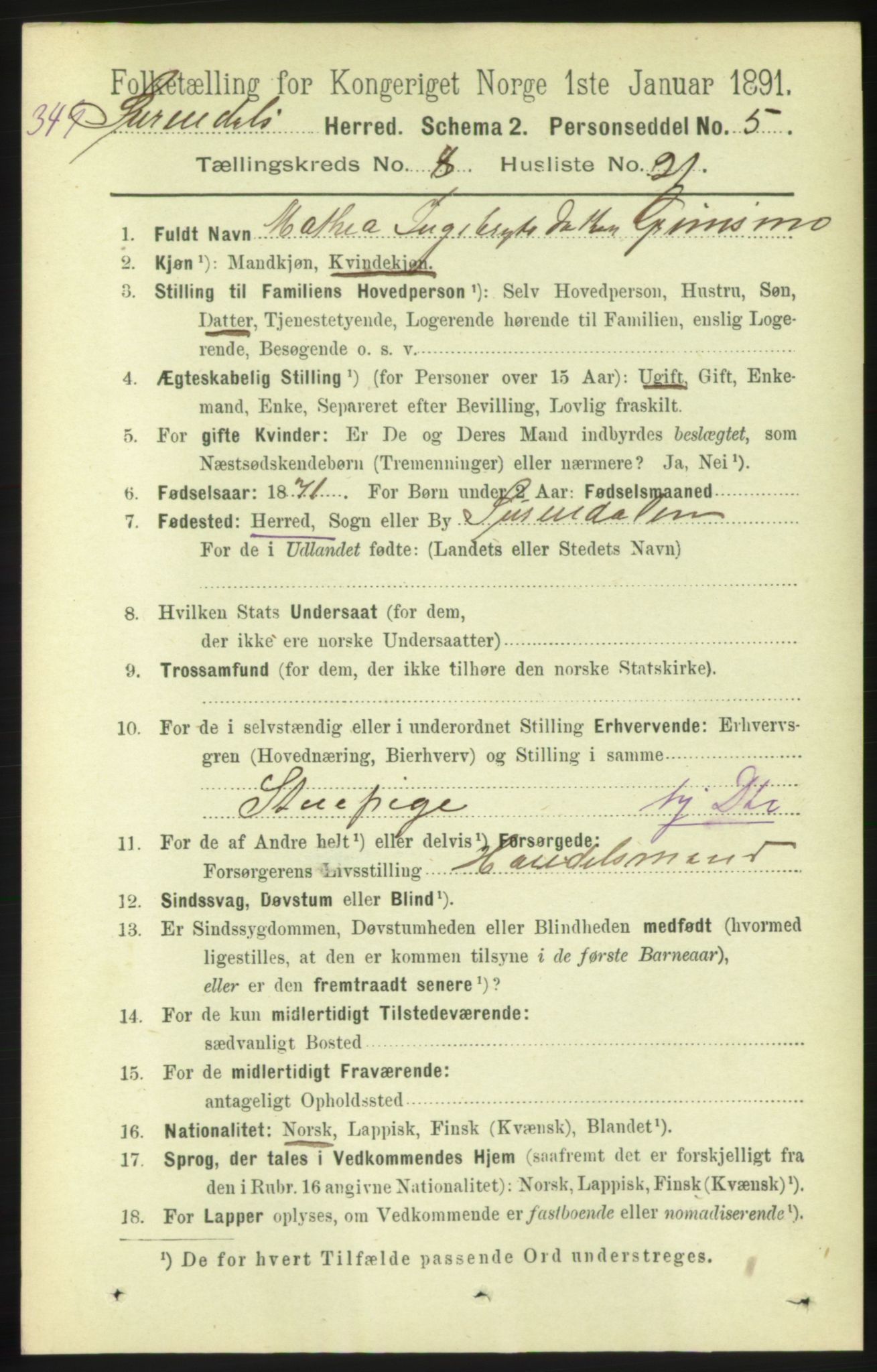 RA, 1891 census for 1566 Surnadal, 1891, p. 2197