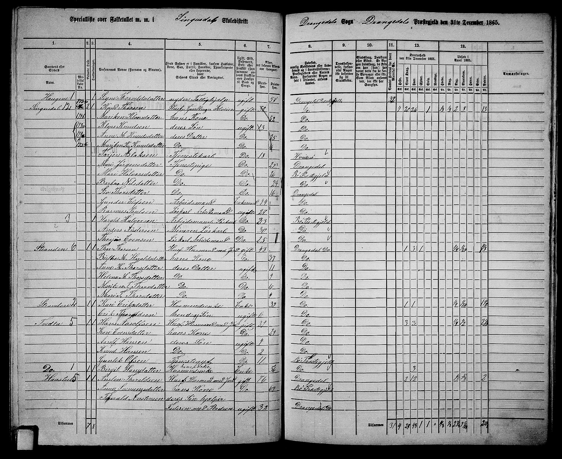 RA, 1865 census for Drangedal, 1865, p. 95