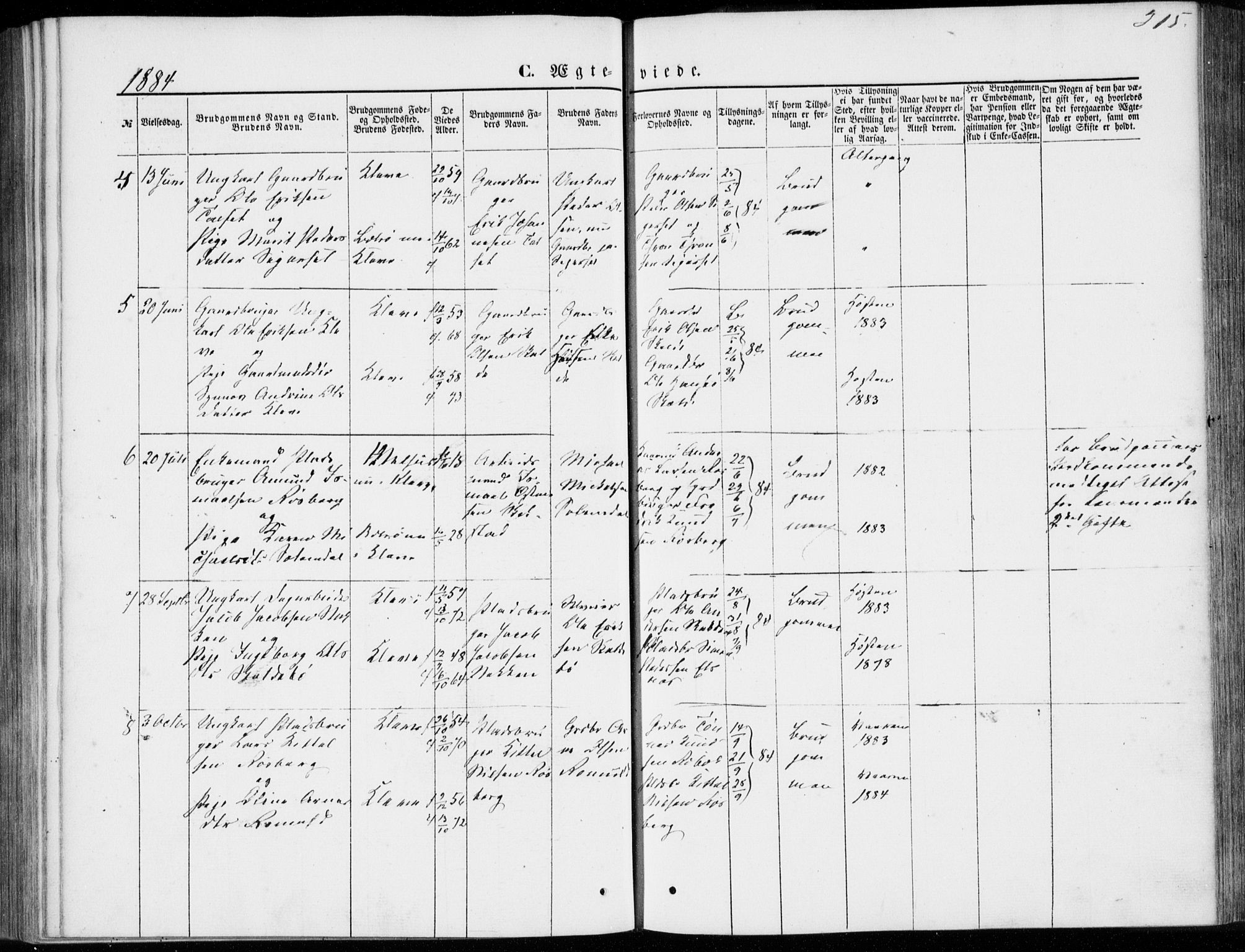 Ministerialprotokoller, klokkerbøker og fødselsregistre - Møre og Romsdal, AV/SAT-A-1454/557/L0681: Parish register (official) no. 557A03, 1869-1886, p. 315