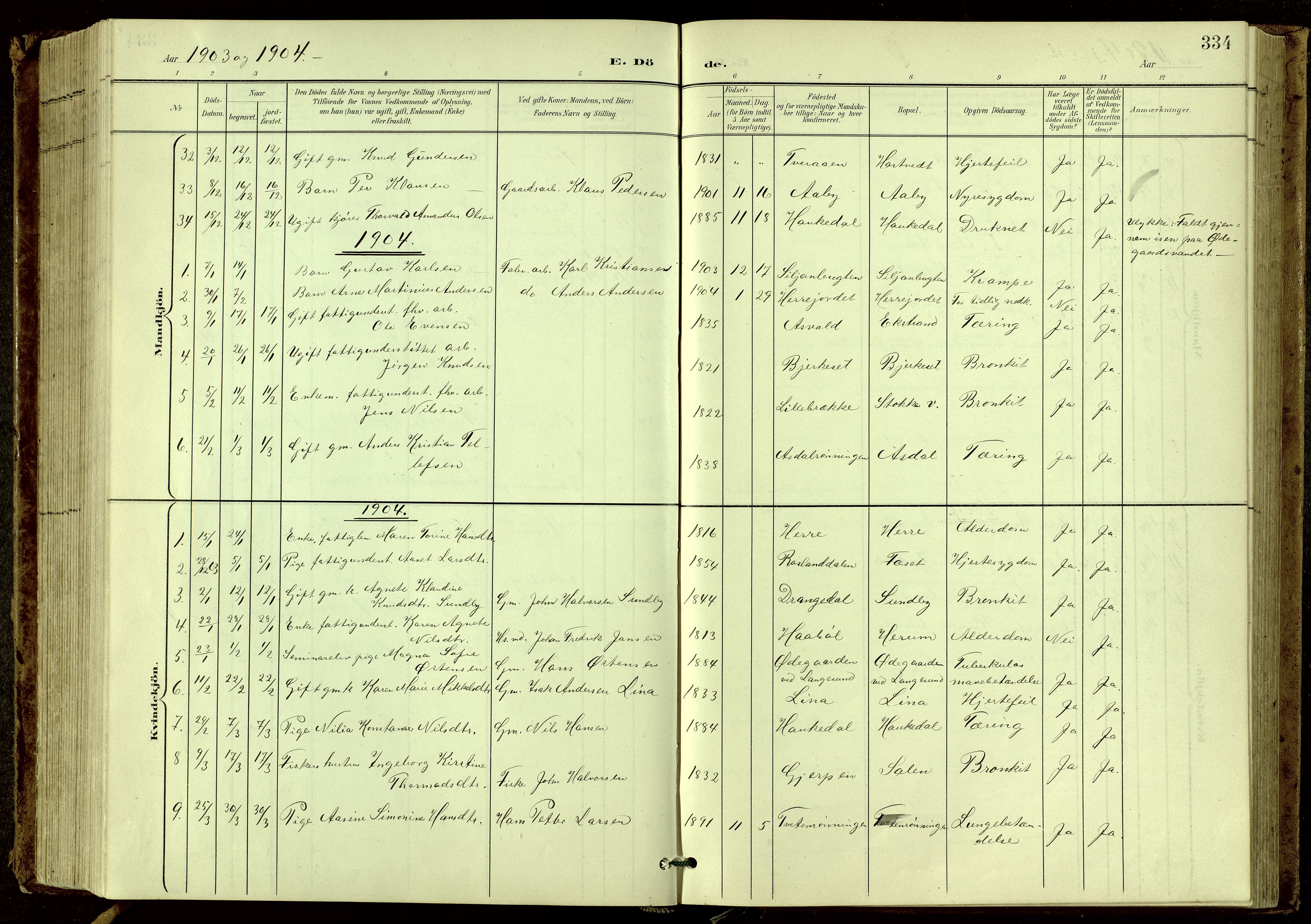 Bamble kirkebøker, SAKO/A-253/G/Ga/L0010: Parish register (copy) no. I 10, 1901-1919, p. 334