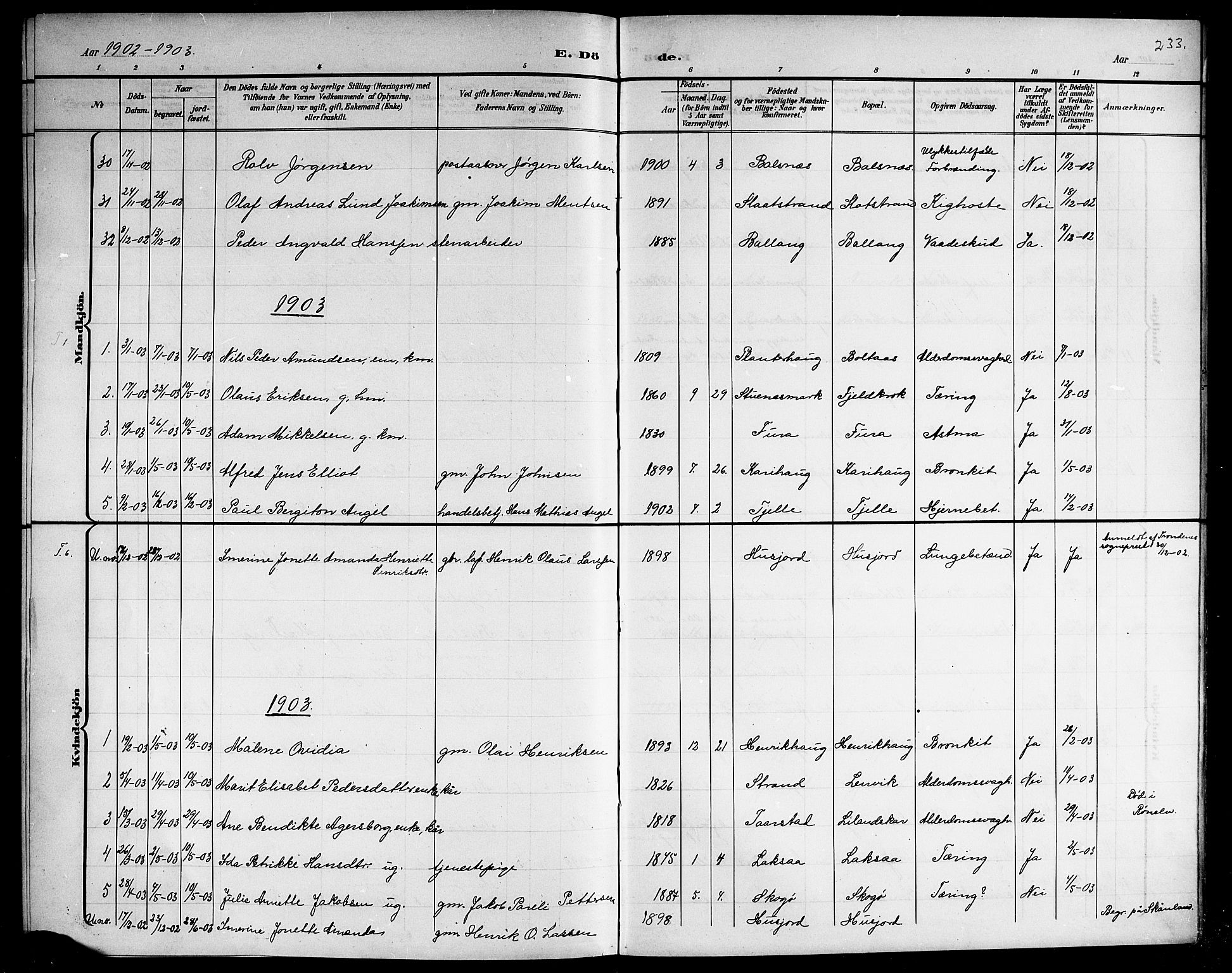 Ministerialprotokoller, klokkerbøker og fødselsregistre - Nordland, AV/SAT-A-1459/863/L0915: Parish register (copy) no. 863C05, 1898-1907, p. 233