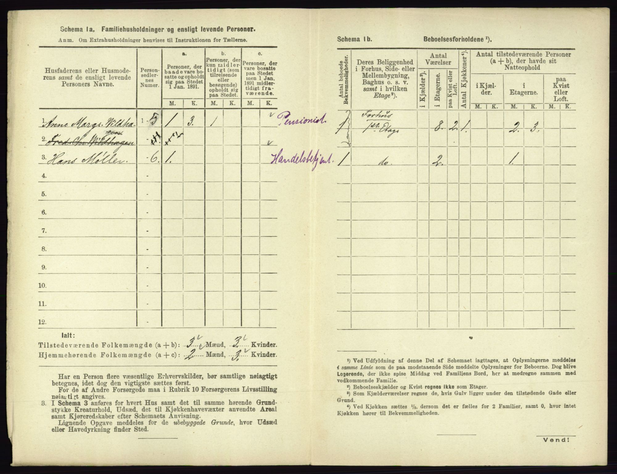 RA, 1891 census for 0602 Drammen, 1891, p. 1566