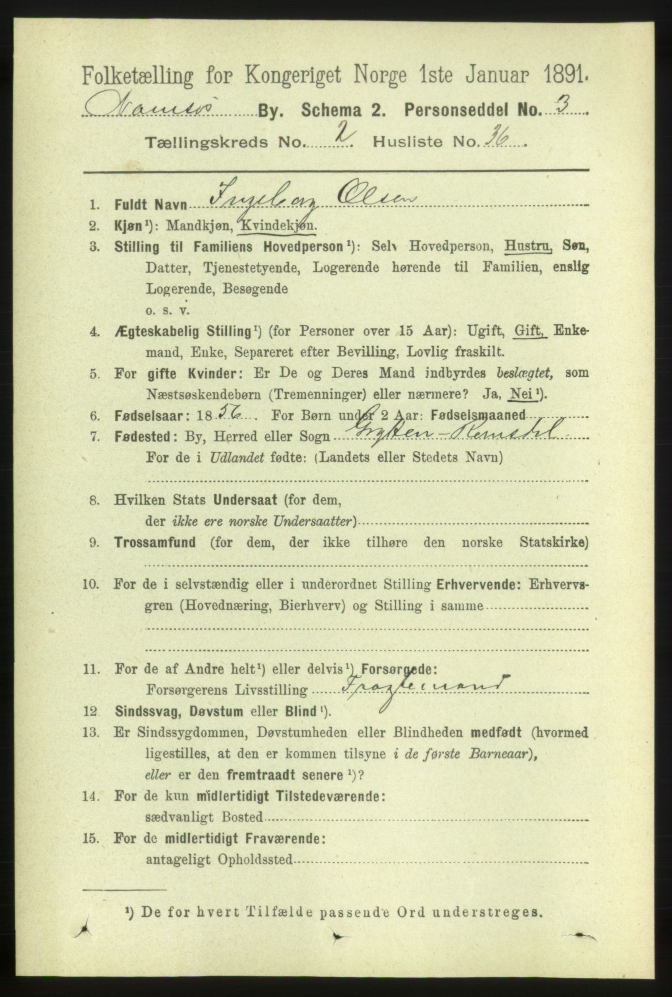 RA, 1891 census for 1703 Namsos, 1891, p. 925