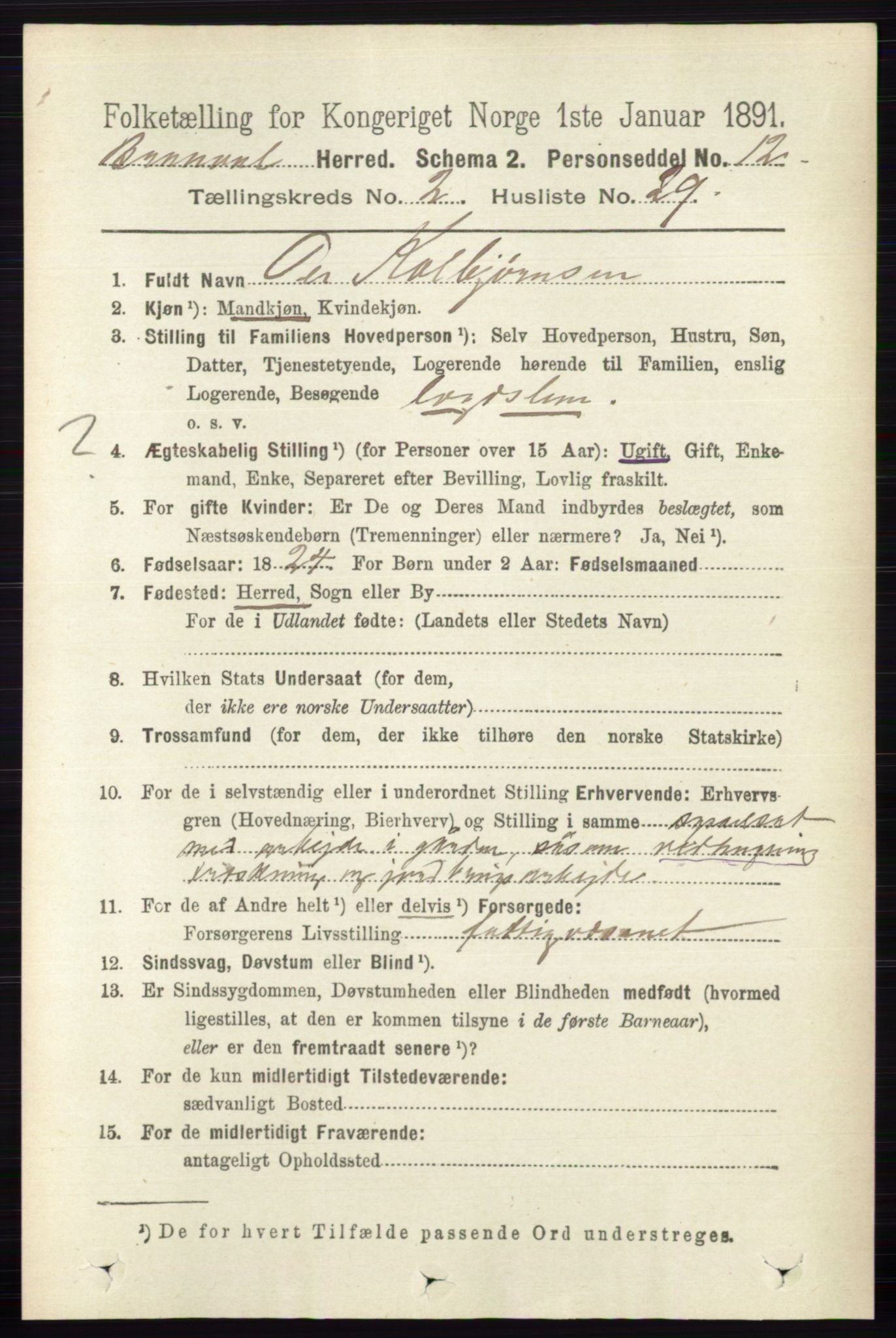 RA, 1891 census for 0422 Brandval, 1891, p. 975