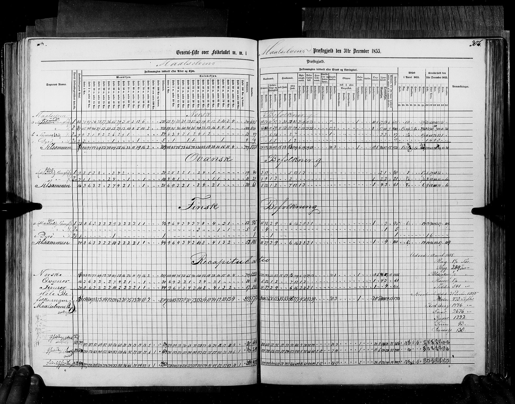 RA, Census 1855, vol. 6B: Nordland amt og Finnmarken amt, 1855, p. 306