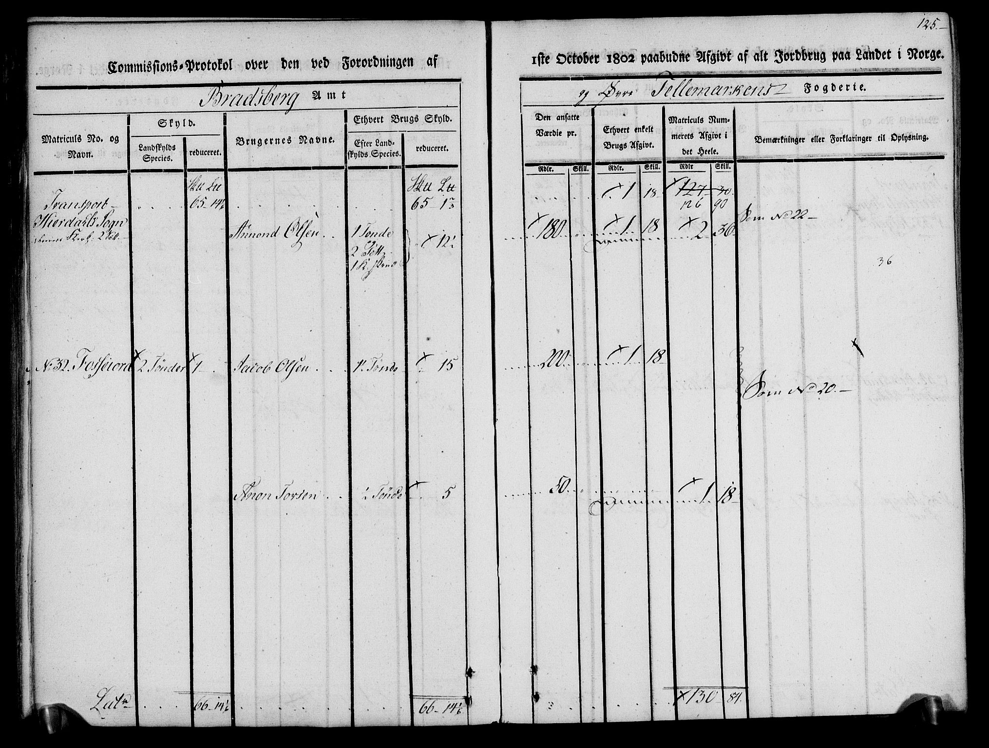 Rentekammeret inntil 1814, Realistisk ordnet avdeling, AV/RA-EA-4070/N/Ne/Nea/L0074: Øvre Telemarken fogderi. Kommisjonsprotokoll for fogderiets østre del - Tinn, Hjartdal og Seljord prestegjeld., 1803, p. 125