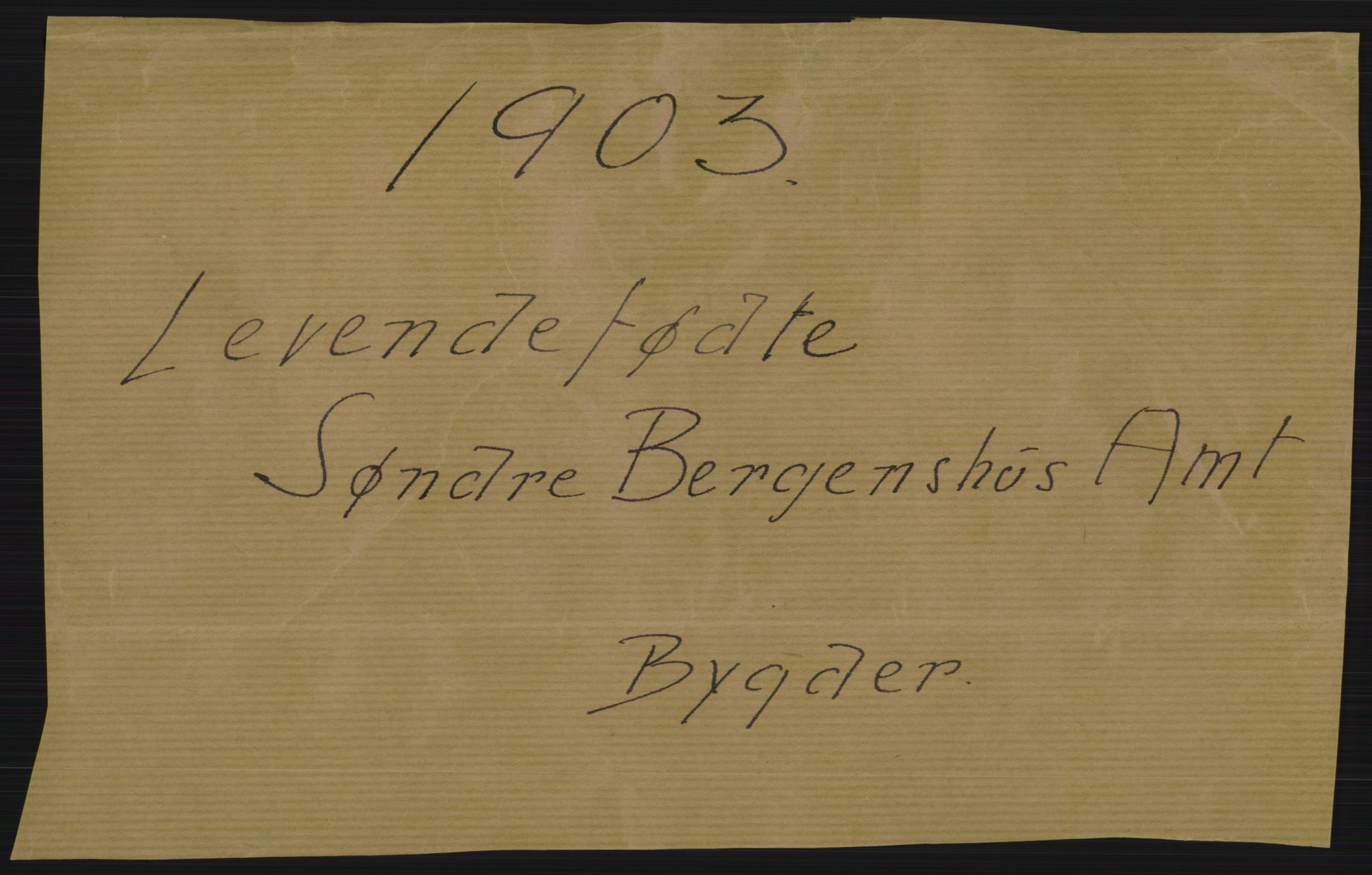 Statistisk sentralbyrå, Sosiodemografiske emner, Befolkning, RA/S-2228/D/Df/Dfa/Dfaa/L0013: Søndre Bergenhus amt: Fødte, gifte, døde, 1903, p. 1