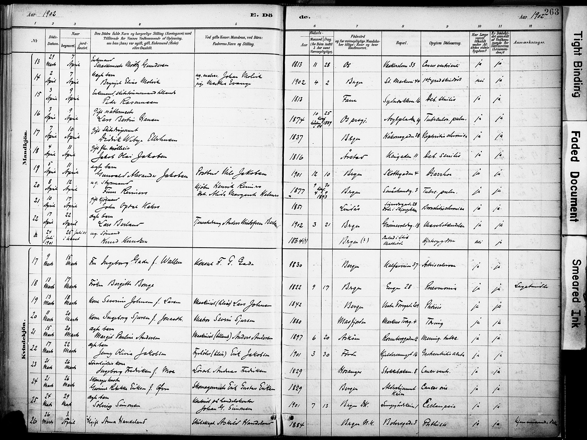 Domkirken sokneprestembete, AV/SAB-A-74801/H/Haa/L0043: Parish register (official) no. E 5, 1882-1904, p. 263