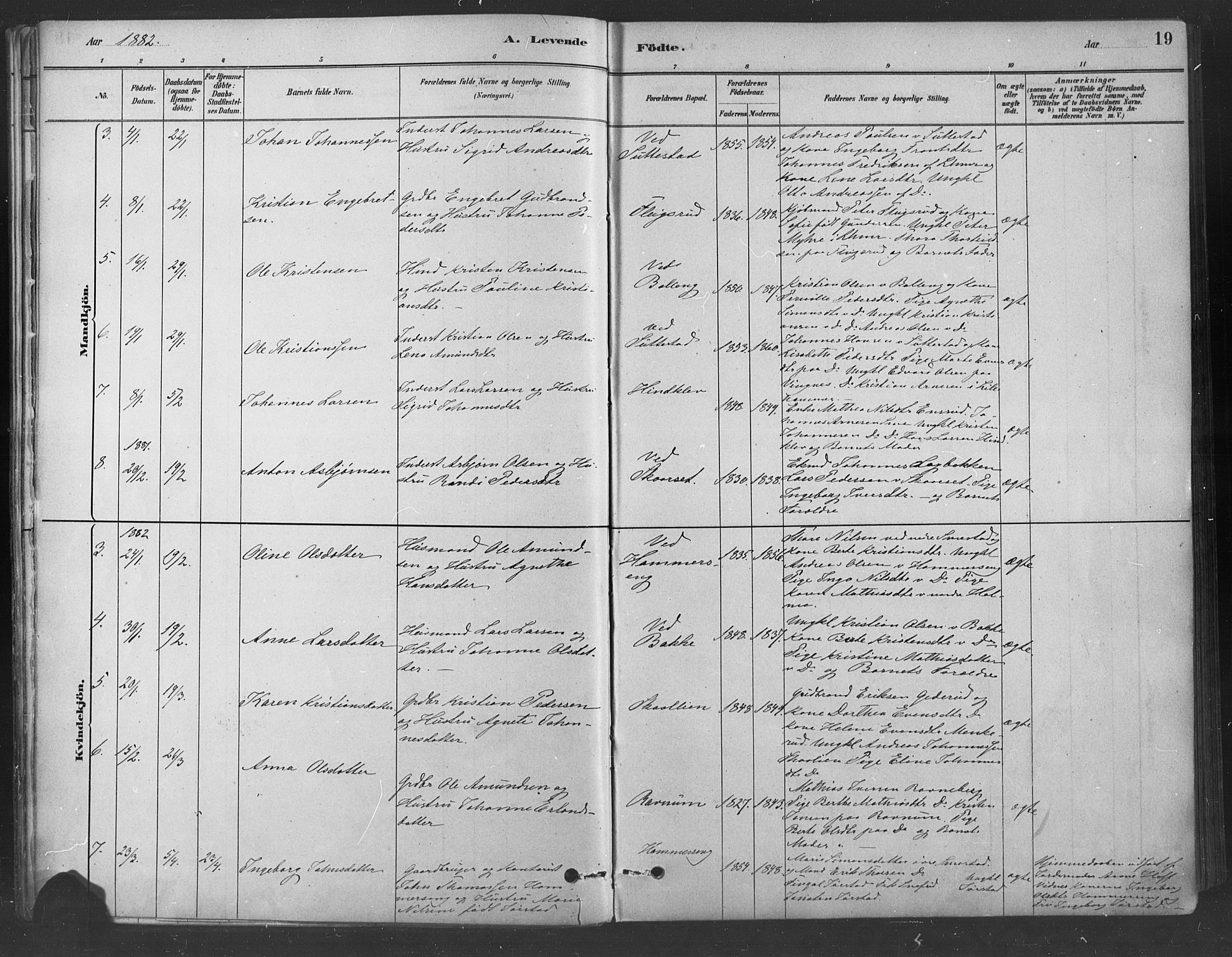 Fåberg prestekontor, SAH/PREST-086/H/Ha/Haa/L0009: Parish register (official) no. 9, 1879-1898, p. 19