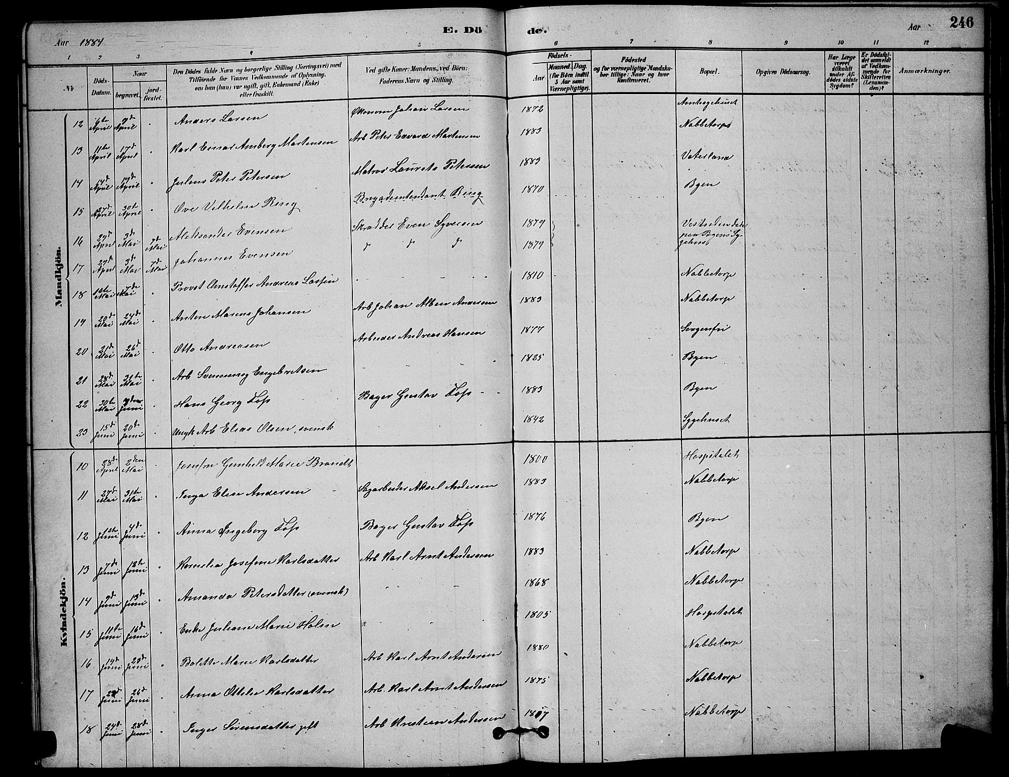 Østre Fredrikstad prestekontor Kirkebøker, SAO/A-10907/G/Ga/L0001: Parish register (copy) no. 1, 1880-1899, p. 246