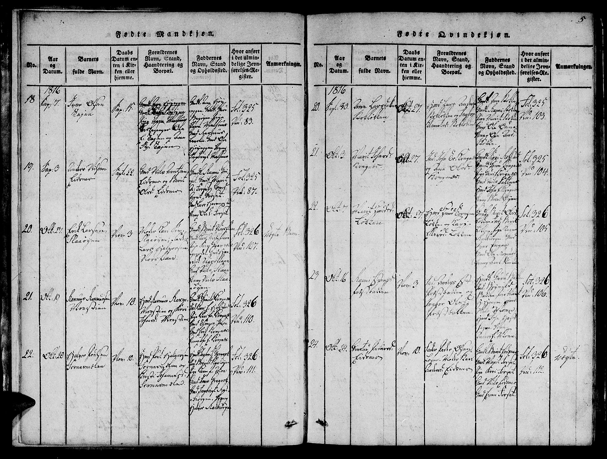 Ministerialprotokoller, klokkerbøker og fødselsregistre - Sør-Trøndelag, AV/SAT-A-1456/691/L1065: Parish register (official) no. 691A03 /1, 1816-1826, p. 5