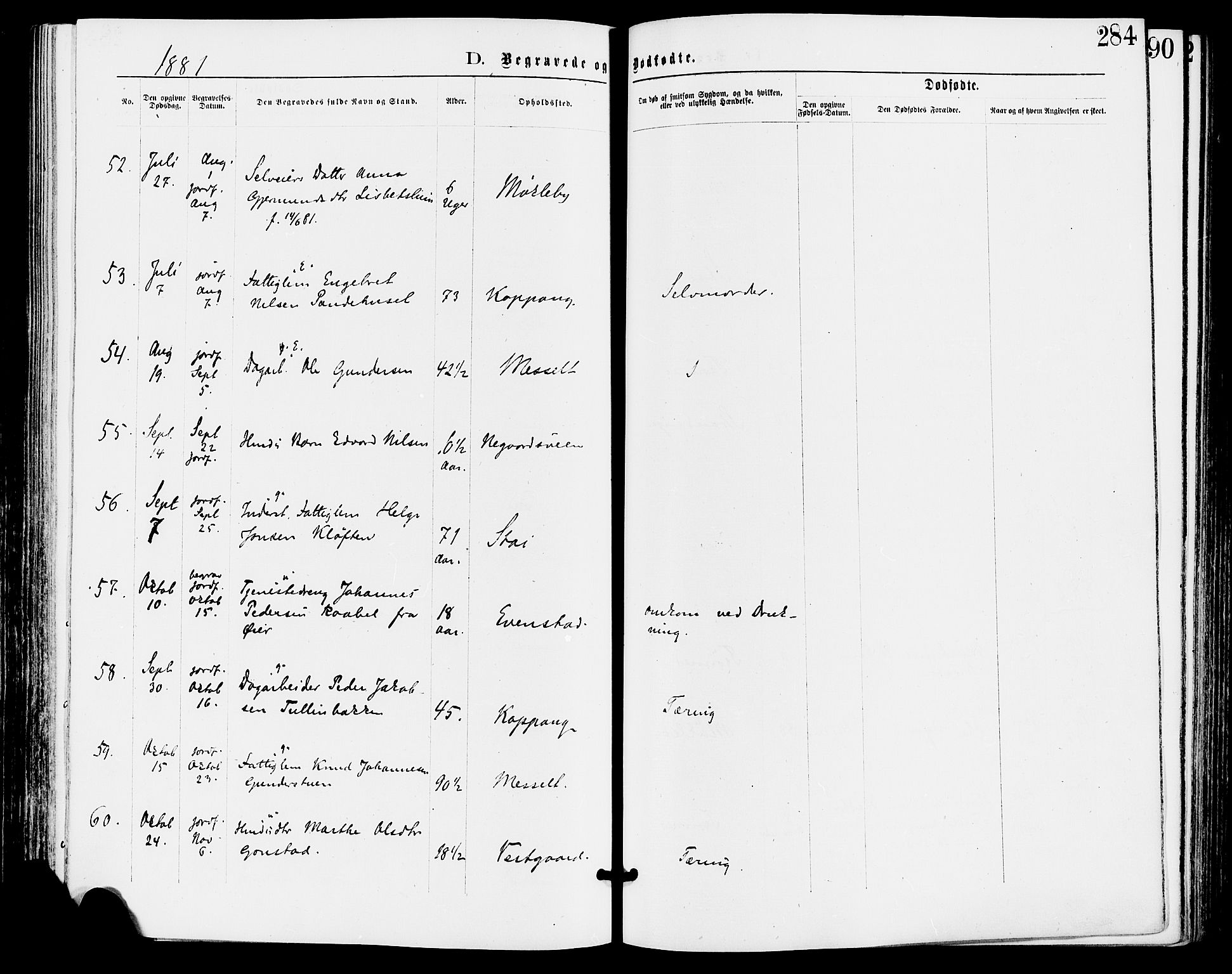 Stor-Elvdal prestekontor, AV/SAH-PREST-052/H/Ha/Haa/L0001: Parish register (official) no. 1, 1871-1882, p. 284