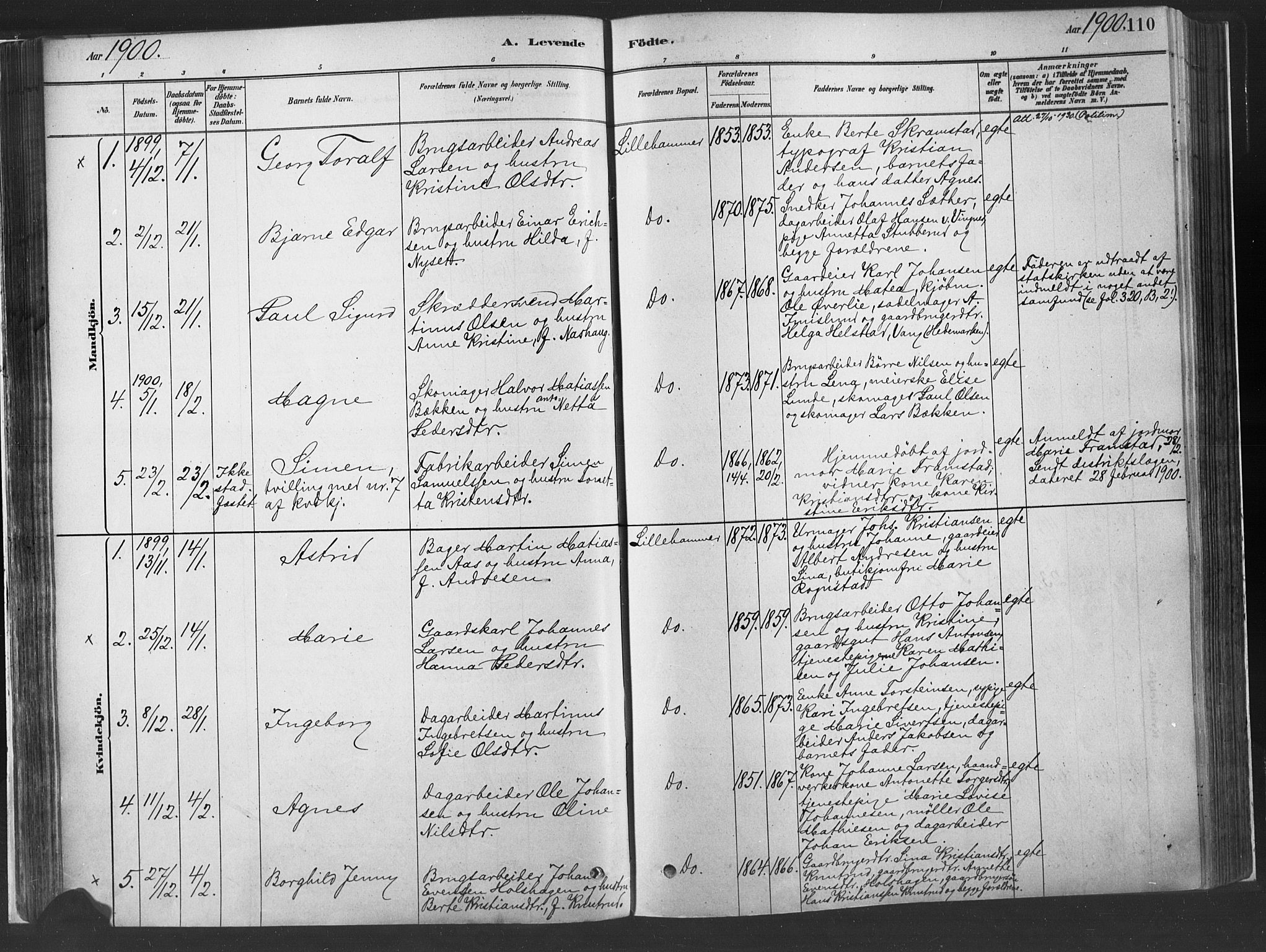 Fåberg prestekontor, SAH/PREST-086/H/Ha/Haa/L0010: Parish register (official) no. 10, 1879-1900, p. 110