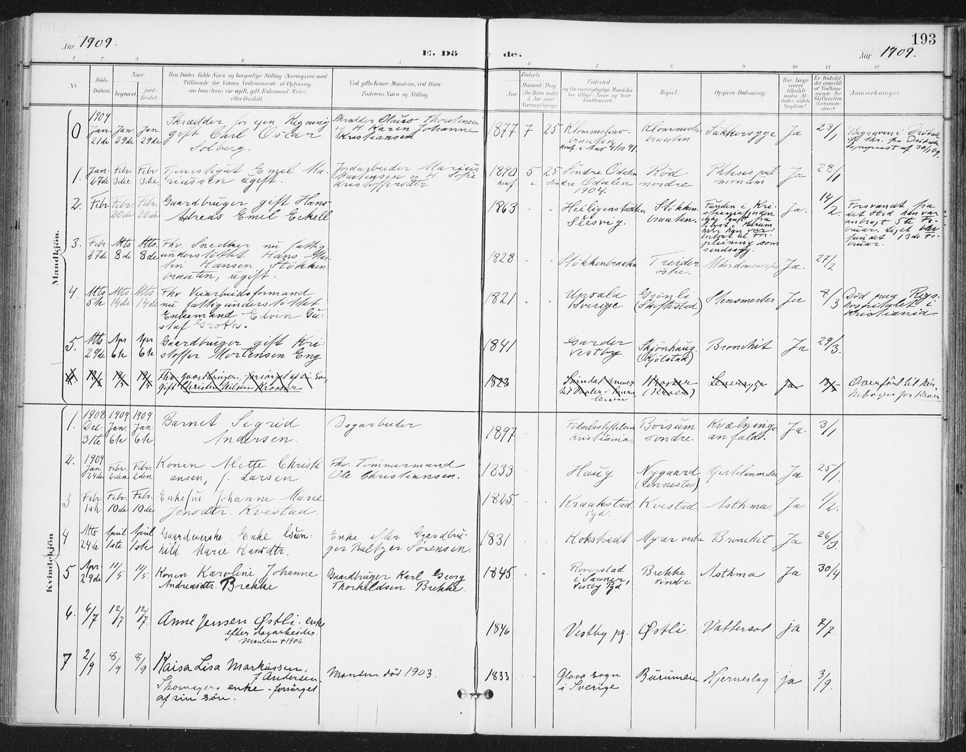 Ås prestekontor Kirkebøker, AV/SAO-A-10894/F/Fa/L0010: Parish register (official) no. I 10, 1900-1918, p. 193