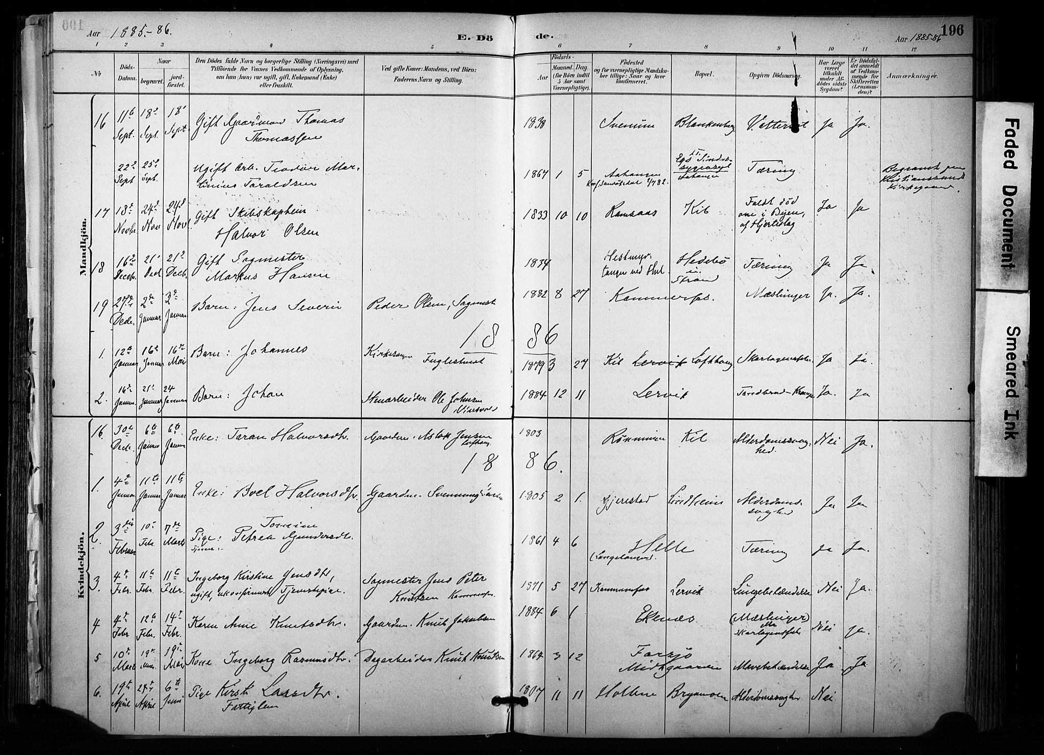 Sannidal kirkebøker, SAKO/A-296/F/Fa/L0015: Parish register (official) no. 15, 1884-1899, p. 196