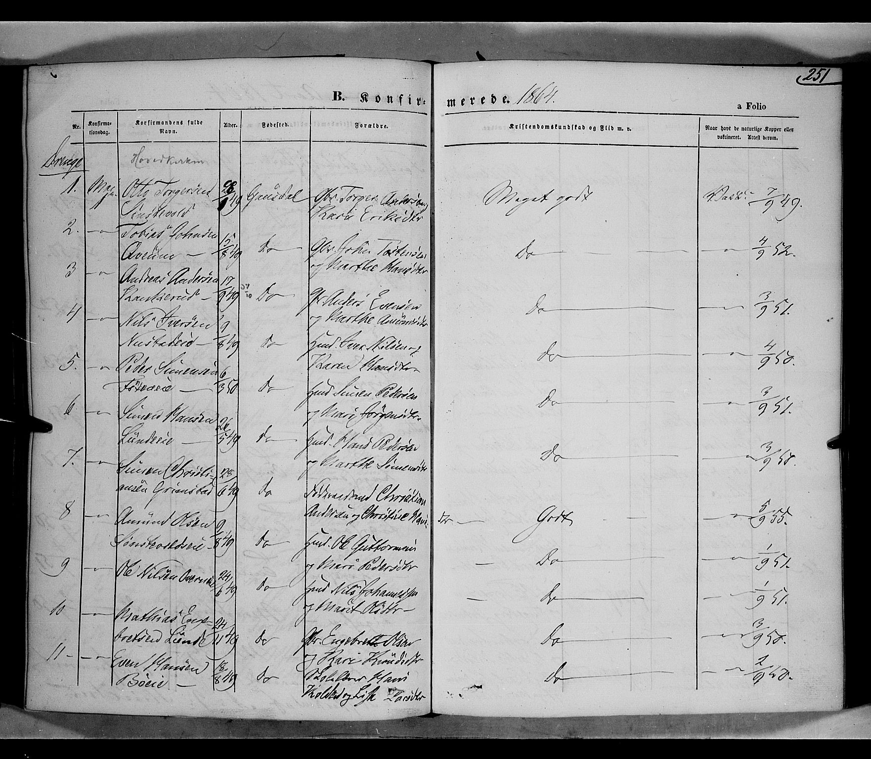 Gausdal prestekontor, AV/SAH-PREST-090/H/Ha/Haa/L0009: Parish register (official) no. 9, 1862-1873, p. 251