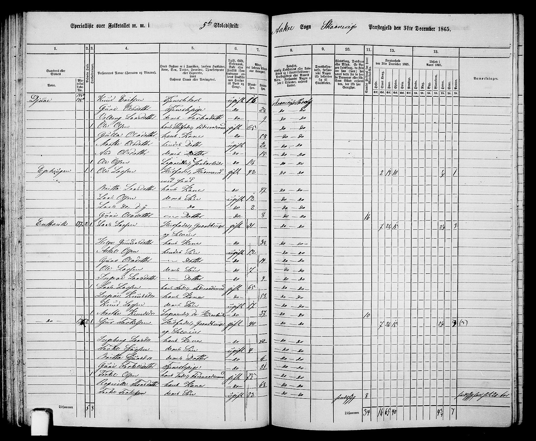 RA, 1865 census for Skånevik, 1865, p. 80