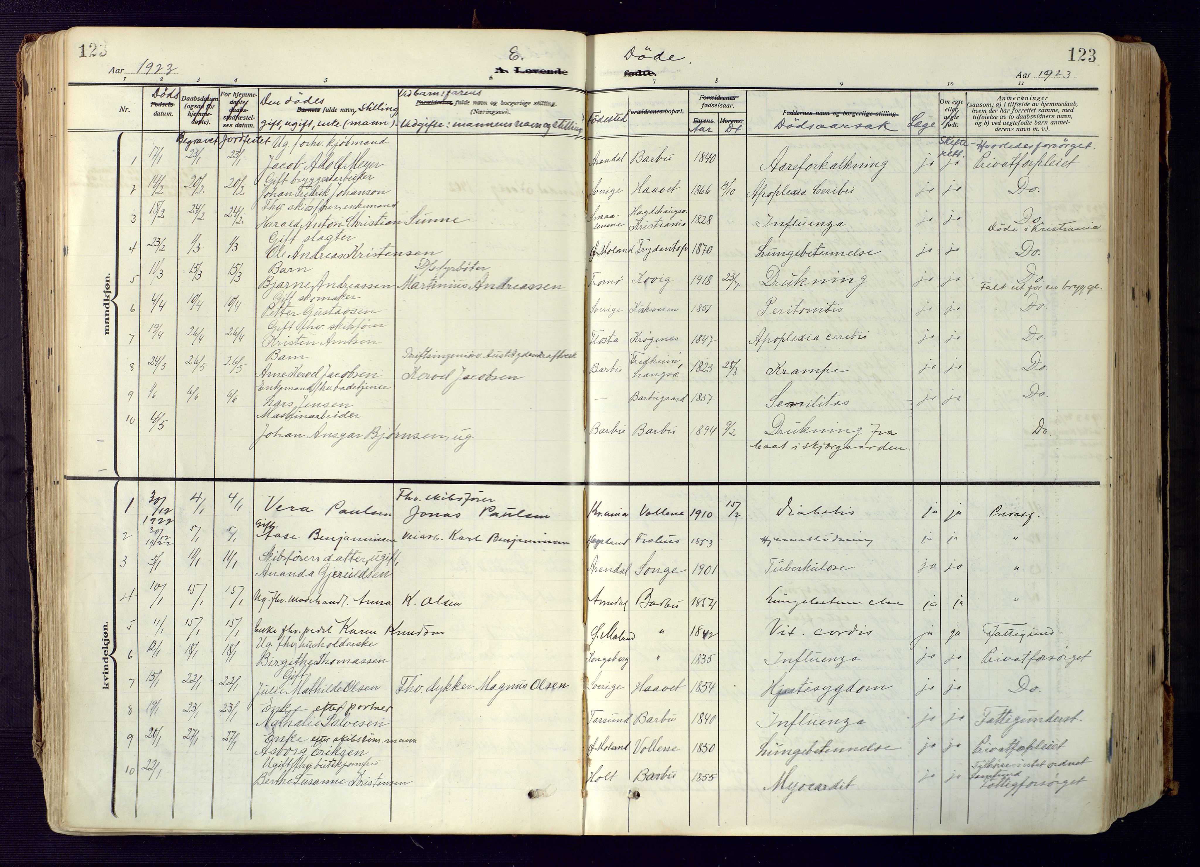 Barbu sokneprestkontor, AV/SAK-1111-0003/F/Fa/L0006: Parish register (official) no. A 6, 1910-1929, p. 123