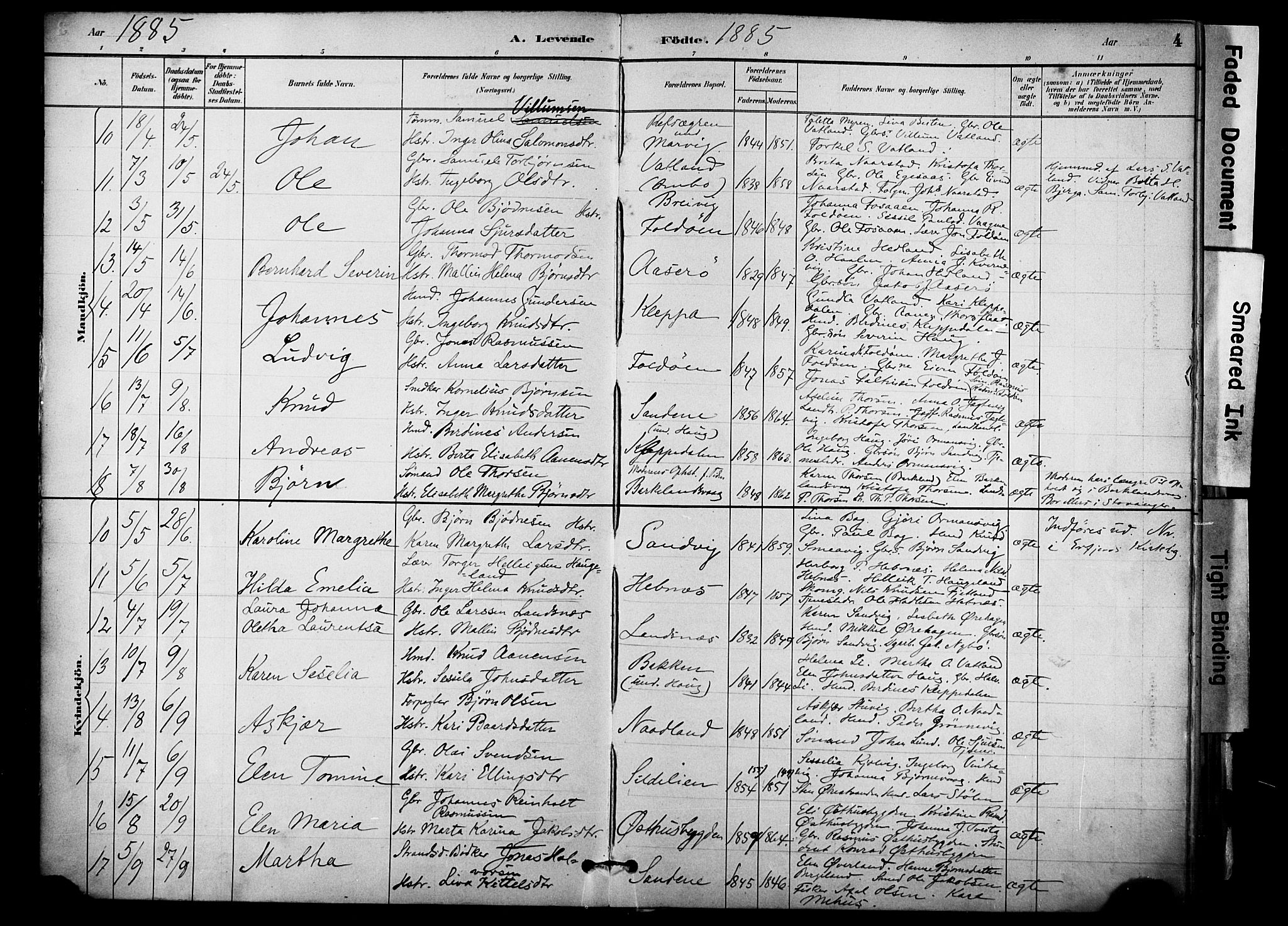 Jelsa sokneprestkontor, AV/SAST-A-101842/01/IV: Parish register (official) no. A 10, 1884-1906, p. 4