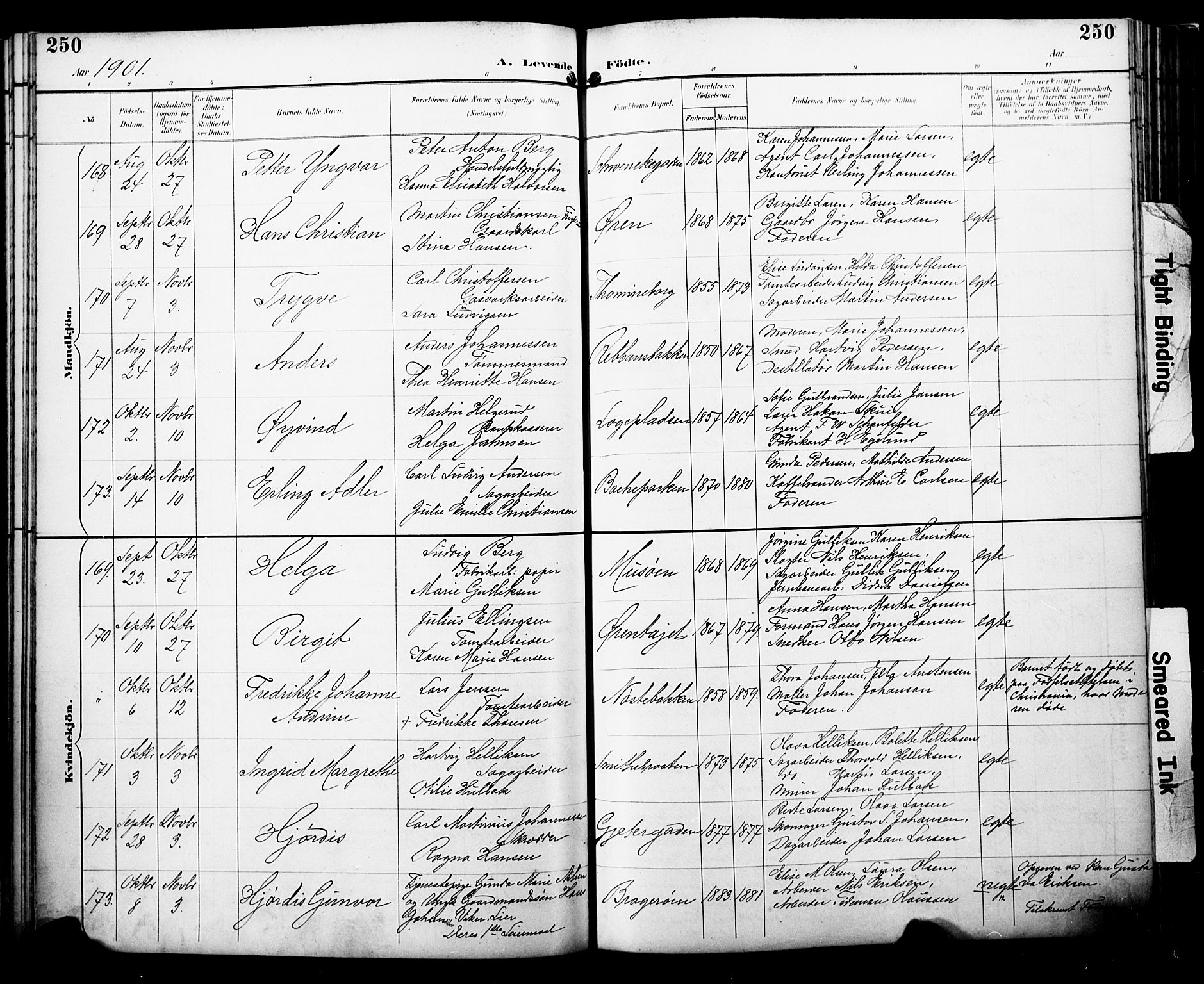 Bragernes kirkebøker, AV/SAKO-A-6/F/Fb/L0008: Parish register (official) no. II 8, 1894-1902, p. 250