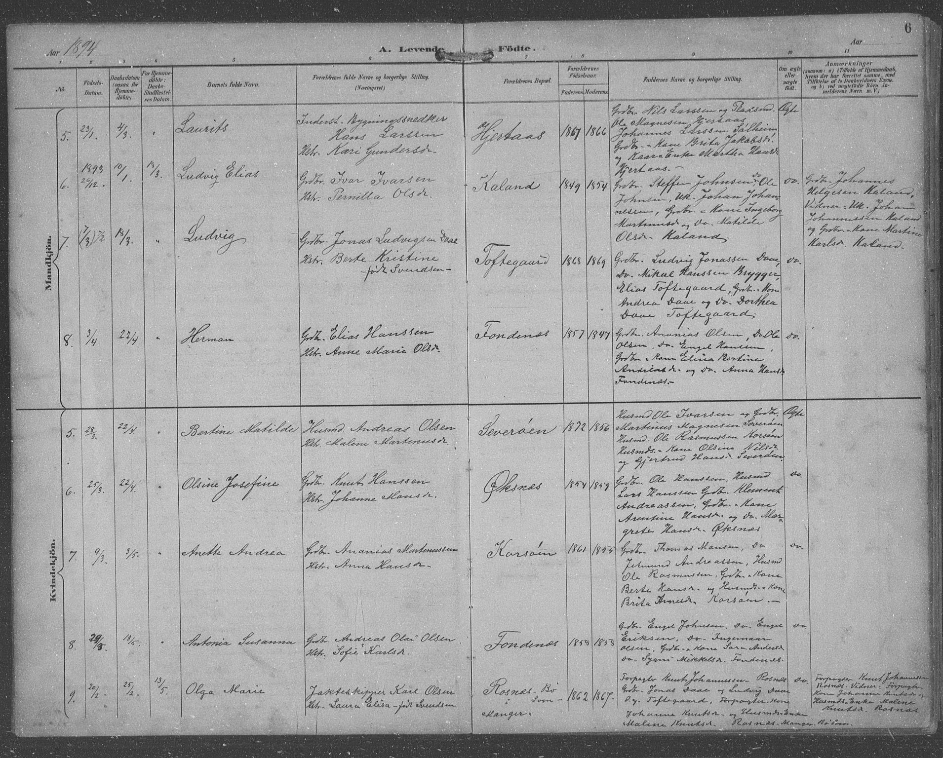 Lindås Sokneprestembete, AV/SAB-A-76701/H/Hab/Habc/L0004: Parish register (copy) no. C 4, 1894-1910, p. 6