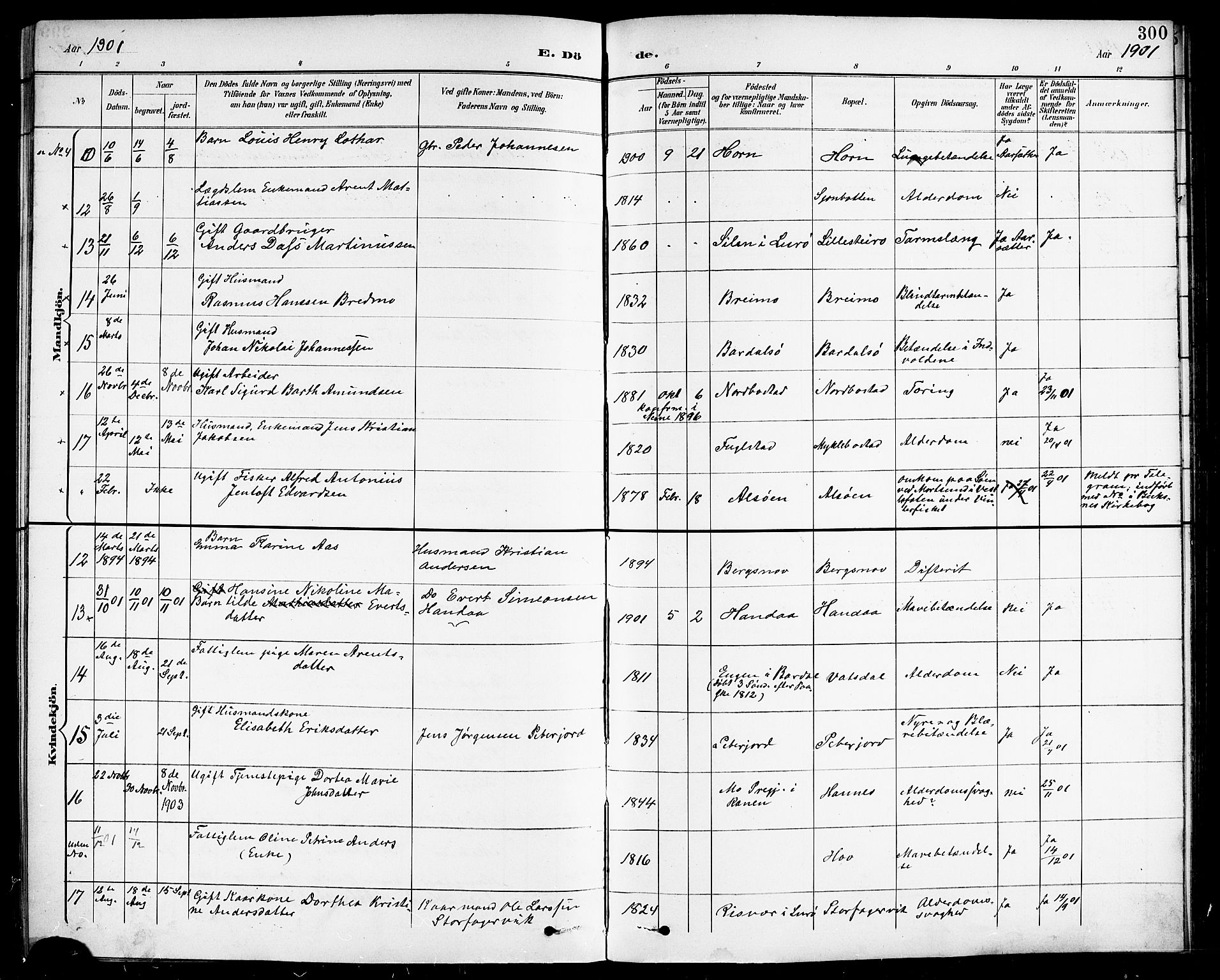 Ministerialprotokoller, klokkerbøker og fødselsregistre - Nordland, AV/SAT-A-1459/838/L0559: Parish register (copy) no. 838C06, 1893-1910, p. 300