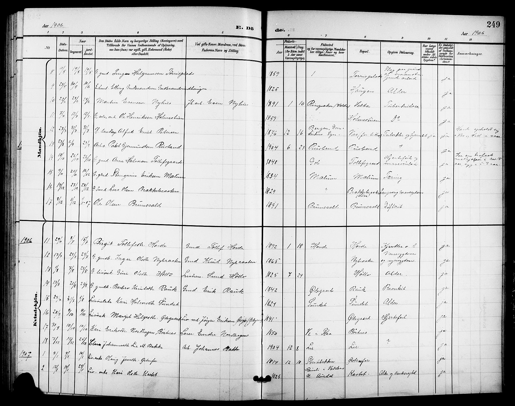 Nes kirkebøker, SAKO/A-236/G/Ga/L0004: Parish register (copy) no. I 4, 1900-1925, p. 249