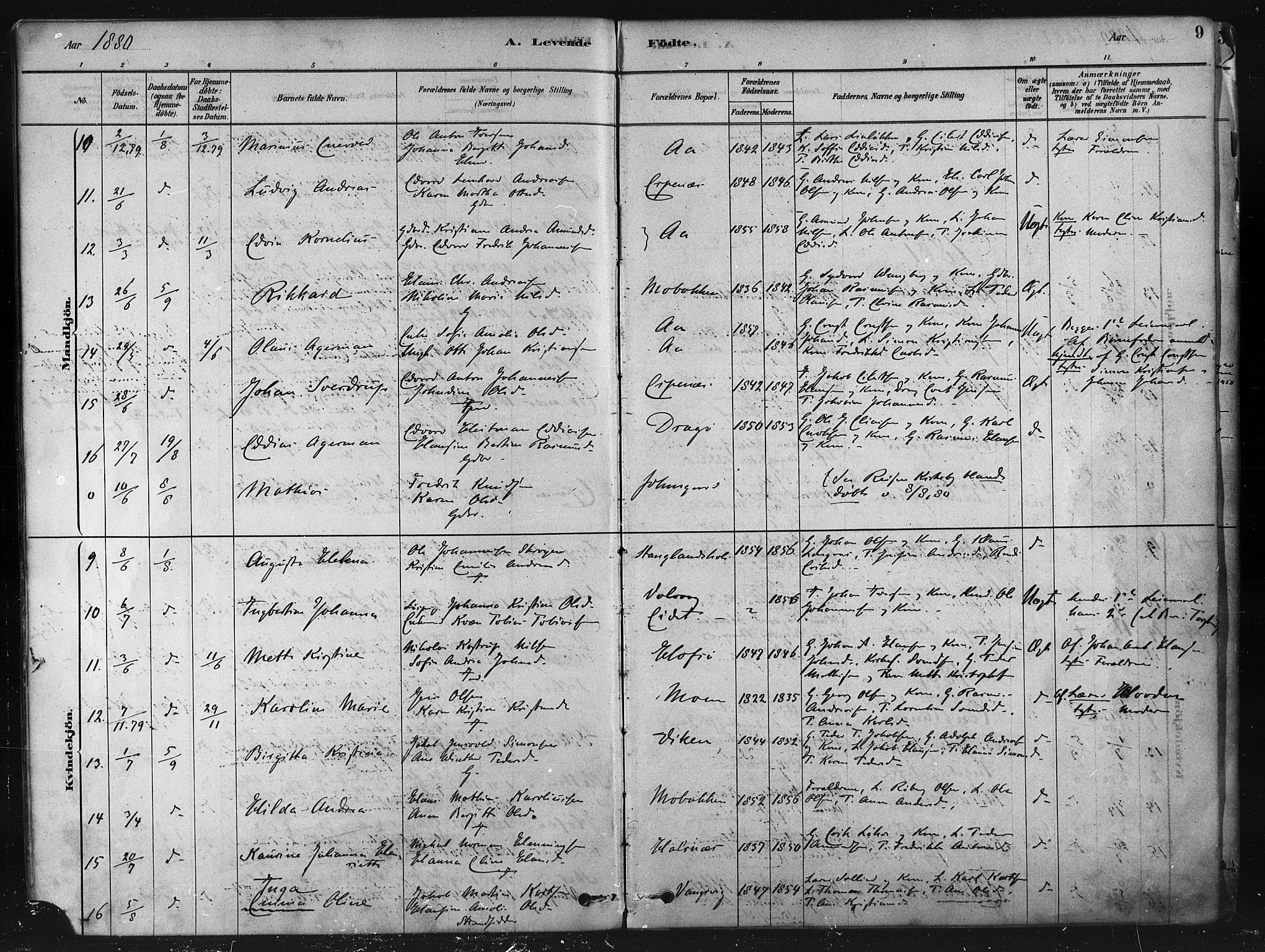 Tranøy sokneprestkontor, SATØ/S-1313/I/Ia/Iaa/L0009kirke: Parish register (official) no. 9, 1878-1904, p. 9