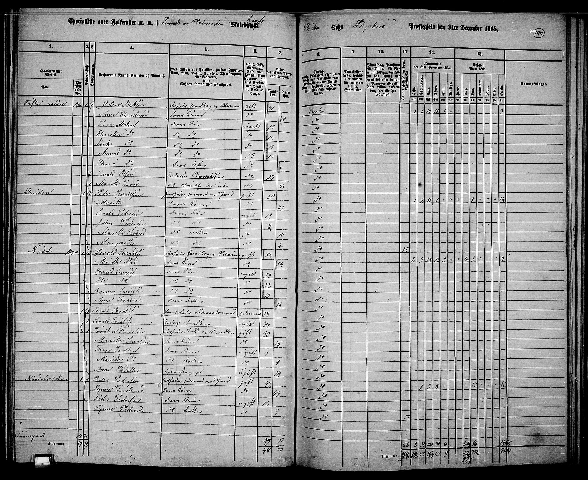 RA, 1865 census for Skjåk, 1865, p. 49