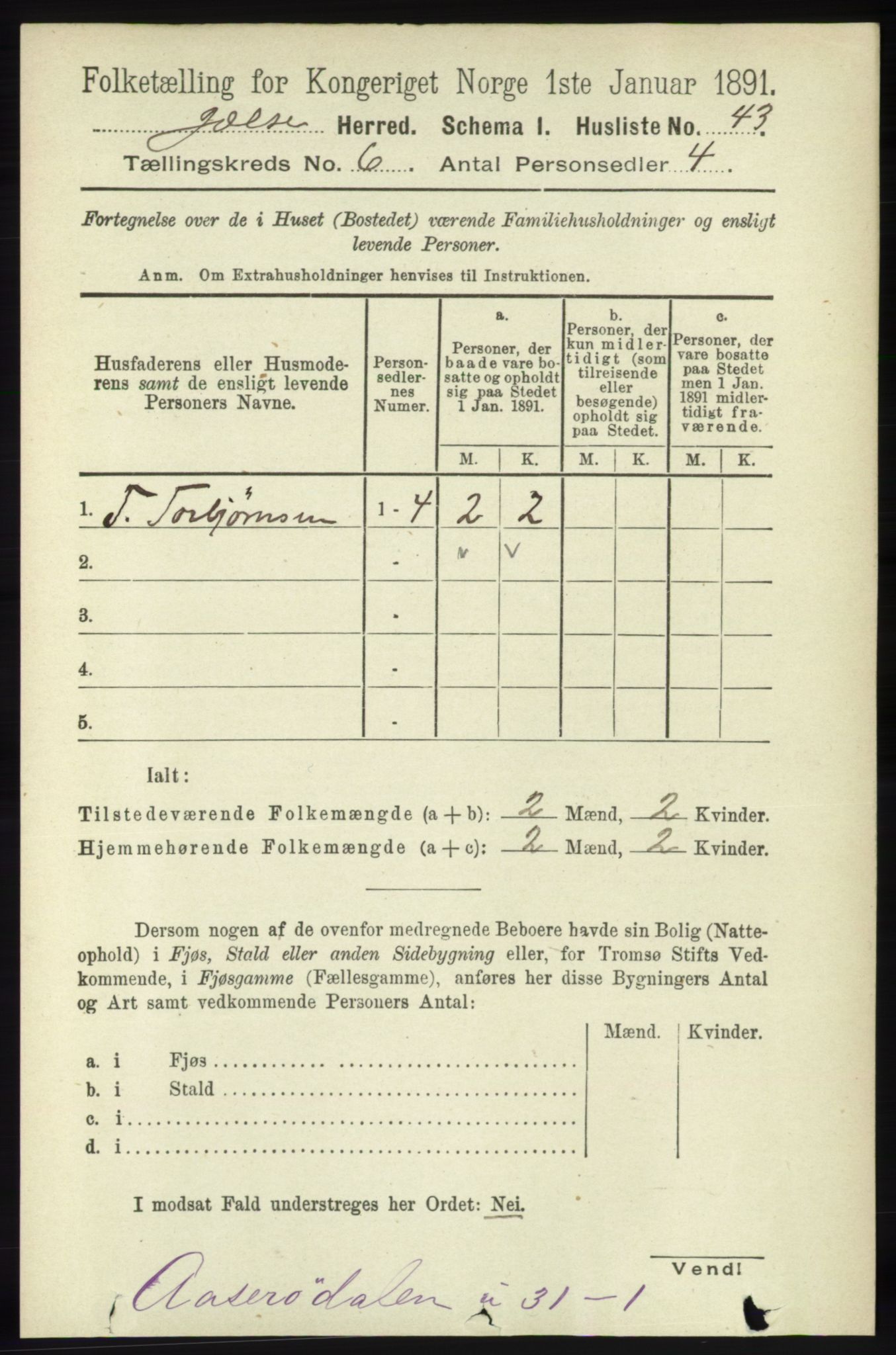 RA, 1891 census for 1138 Jelsa, 1891, p. 1197