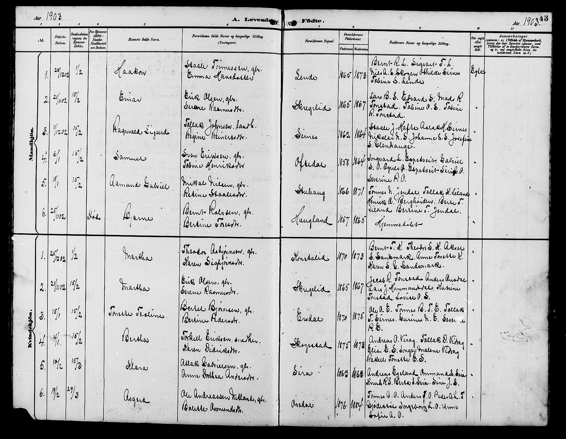Bakke sokneprestkontor, SAK/1111-0002/F/Fb/Fba/L0003: Parish register (copy) no. B 3, 1894-1910, p. 43