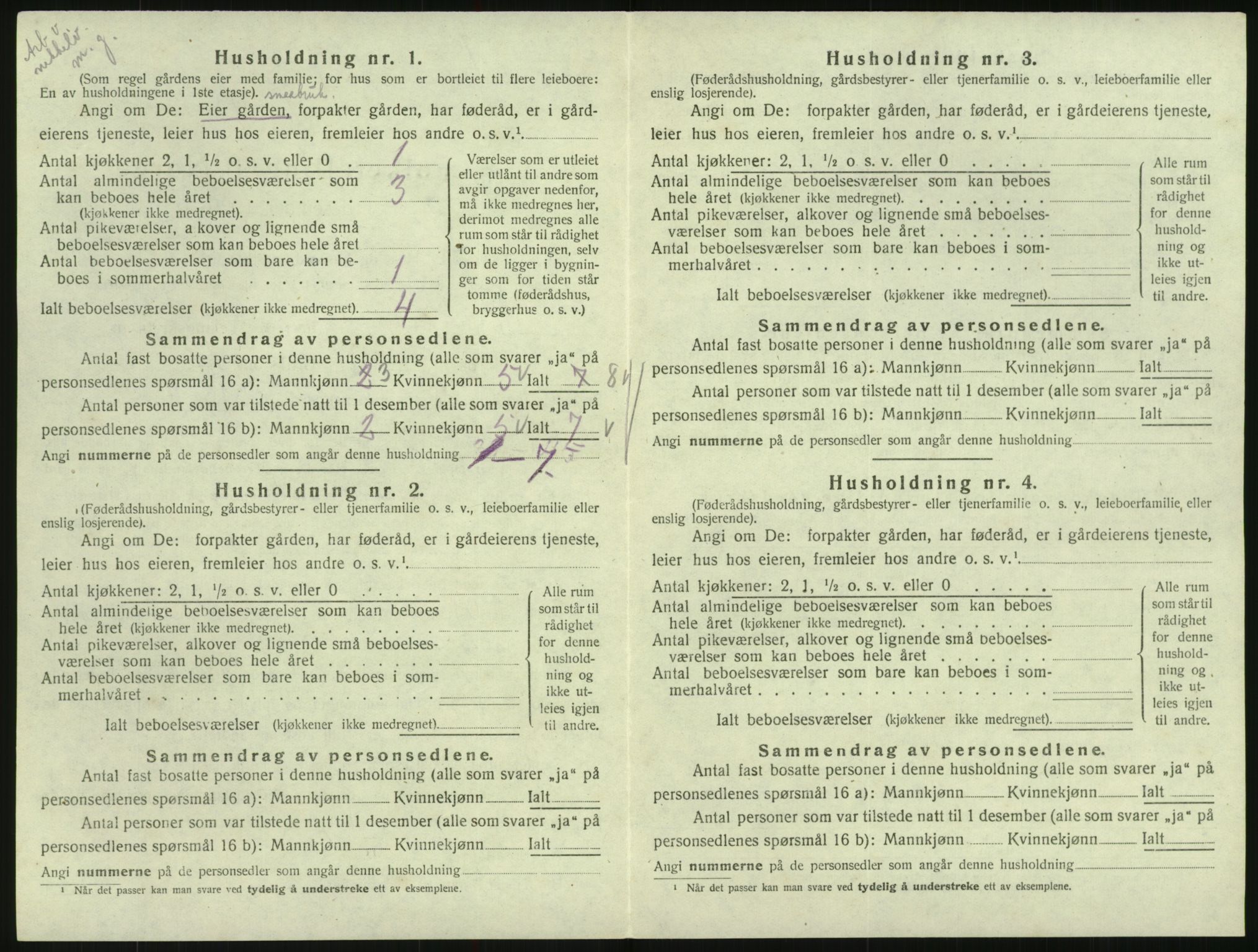 SAK, 1920 census for Hornnes, 1920, p. 132