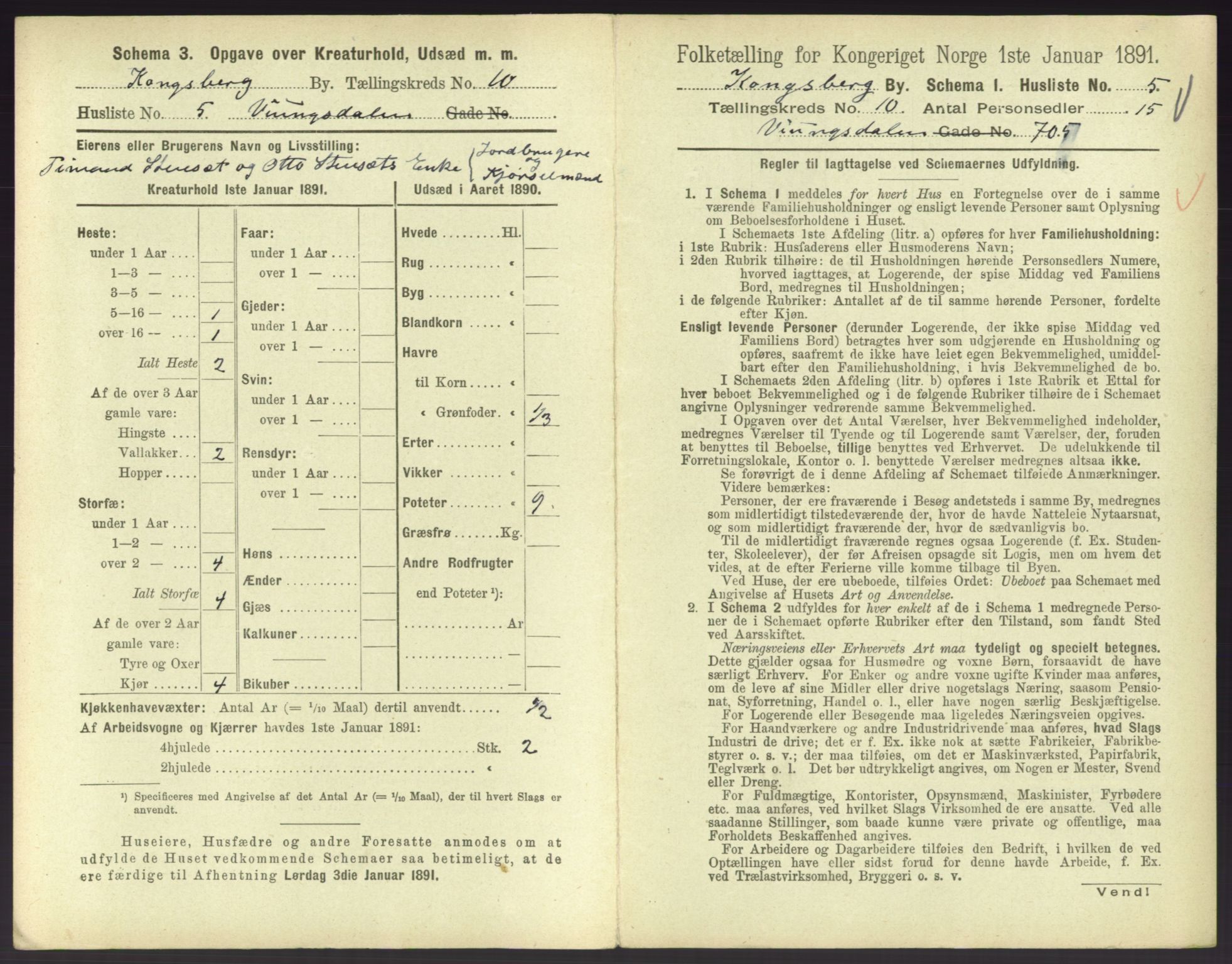 RA, 1891 census for 0604 Kongsberg, 1891, p. 1381