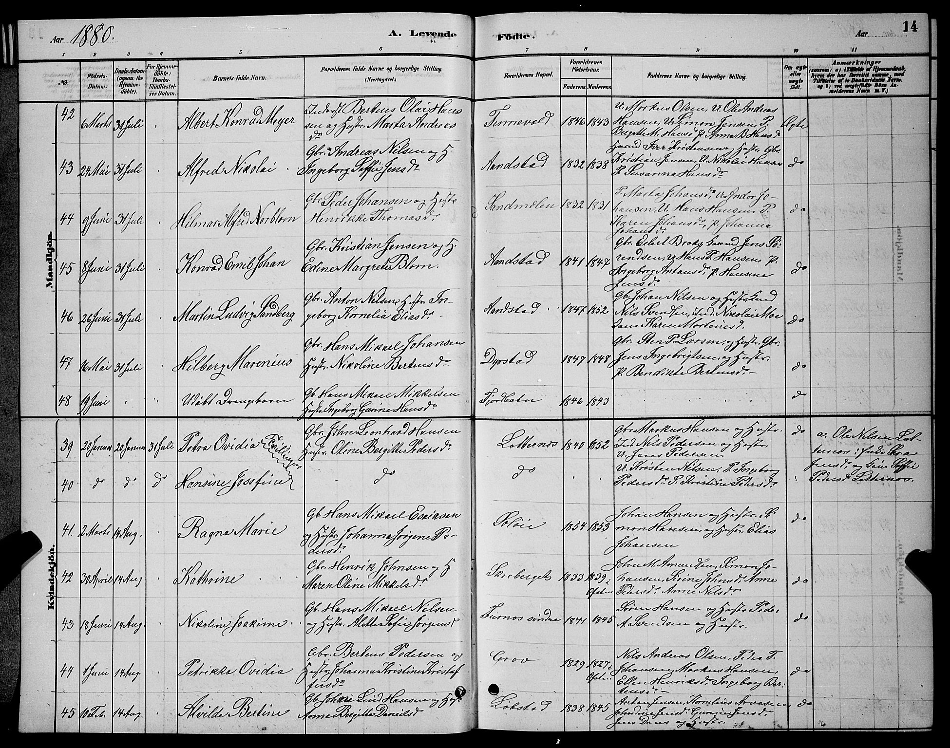Ibestad sokneprestembete, AV/SATØ-S-0077/H/Ha/Hab/L0007klokker: Parish register (copy) no. 7, 1879-1889, p. 14